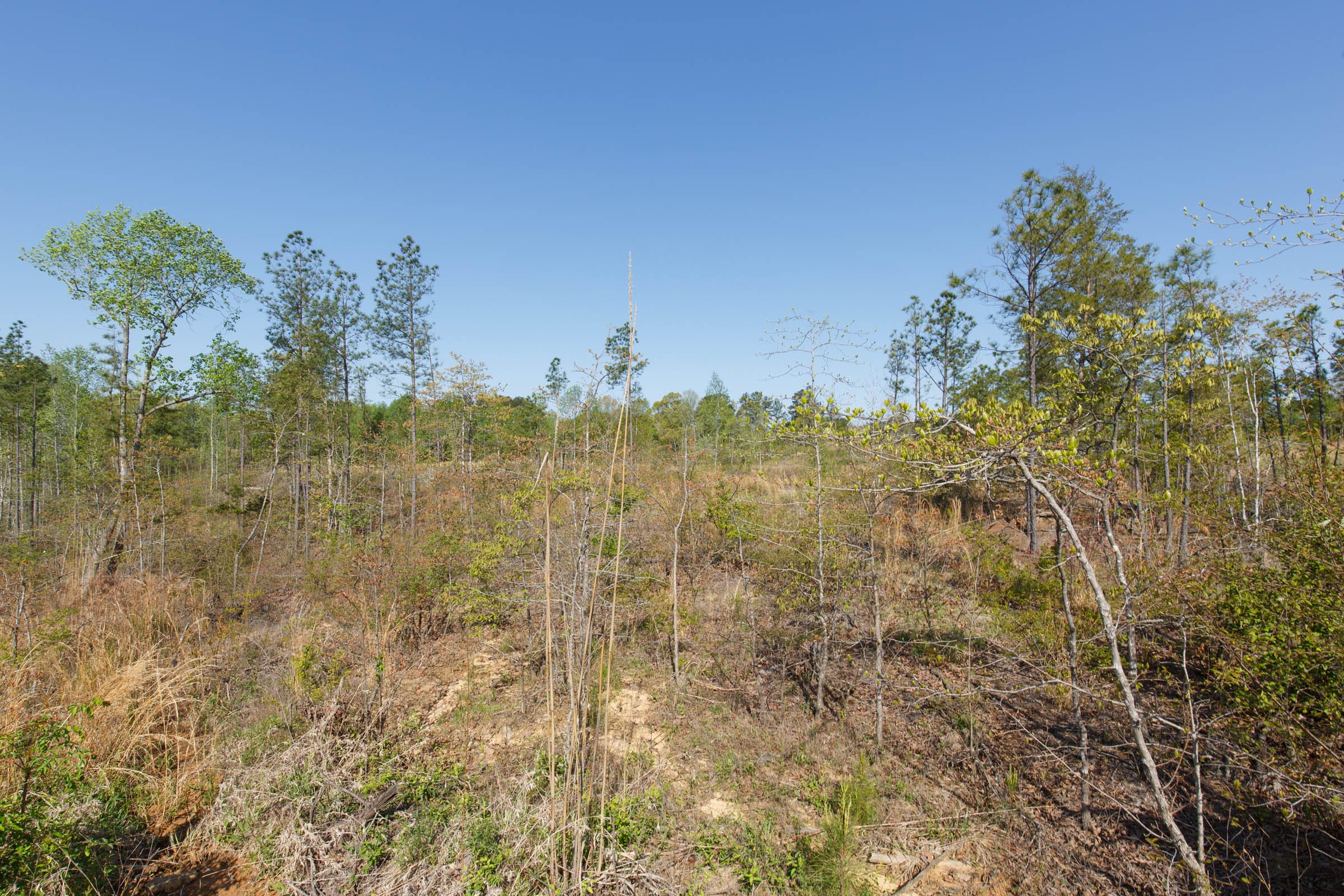 Twin Rivers Tract 2 photo 22