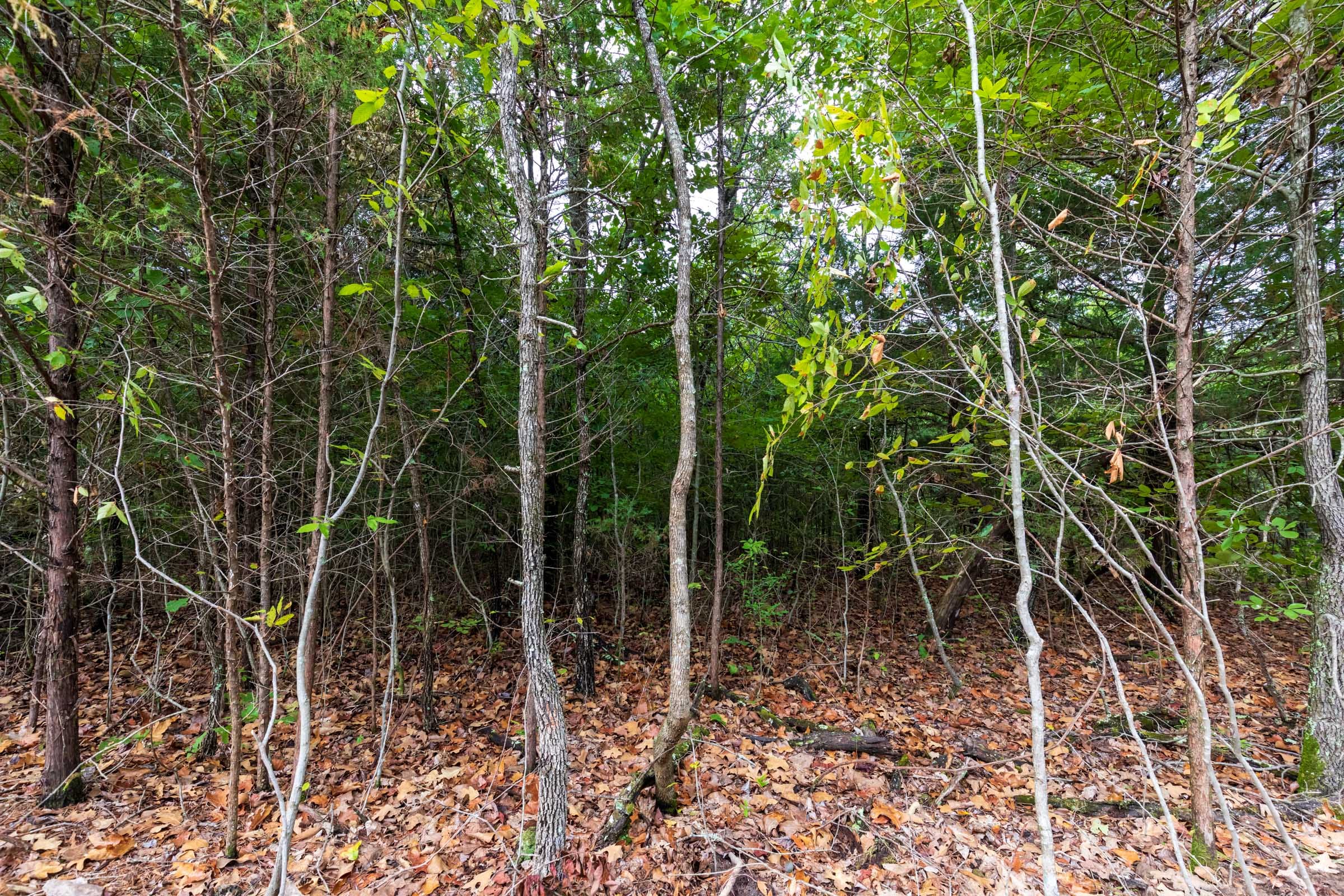 Heritage Bend Tract 11 photo 2