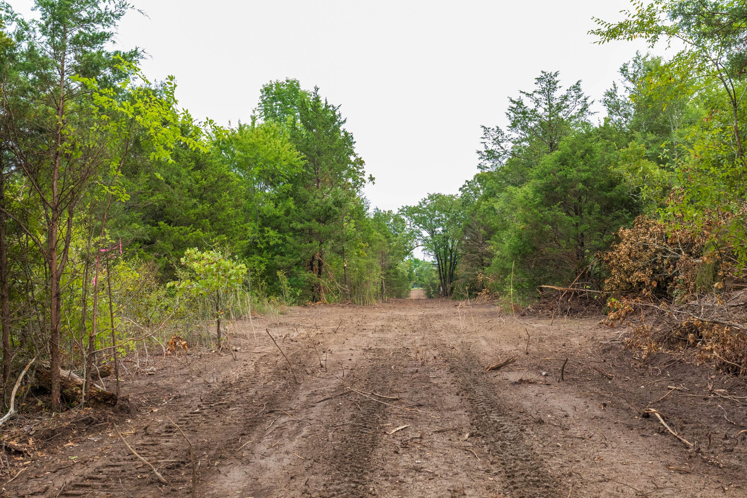 Heritage Bend Tract 11 photo 1