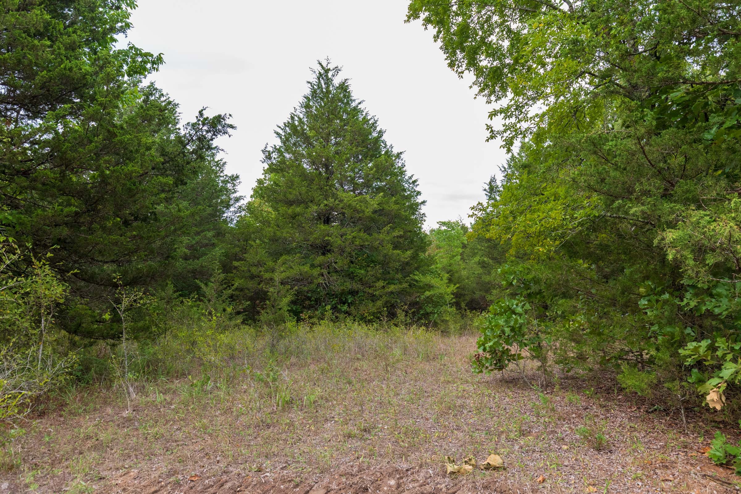 Heritage Bend Tract 11 photo 3