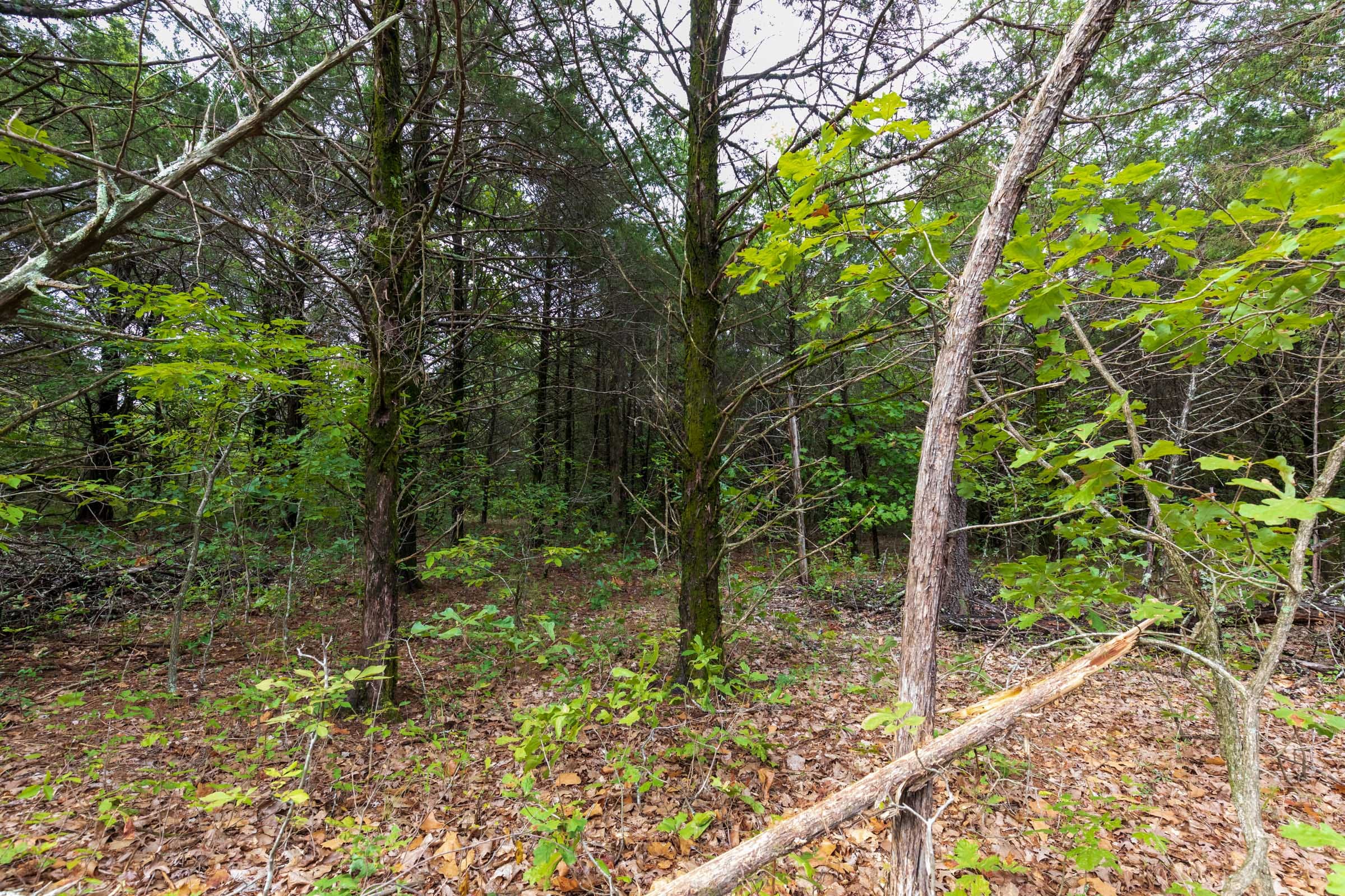 Heritage Bend Tract 11 photo 4