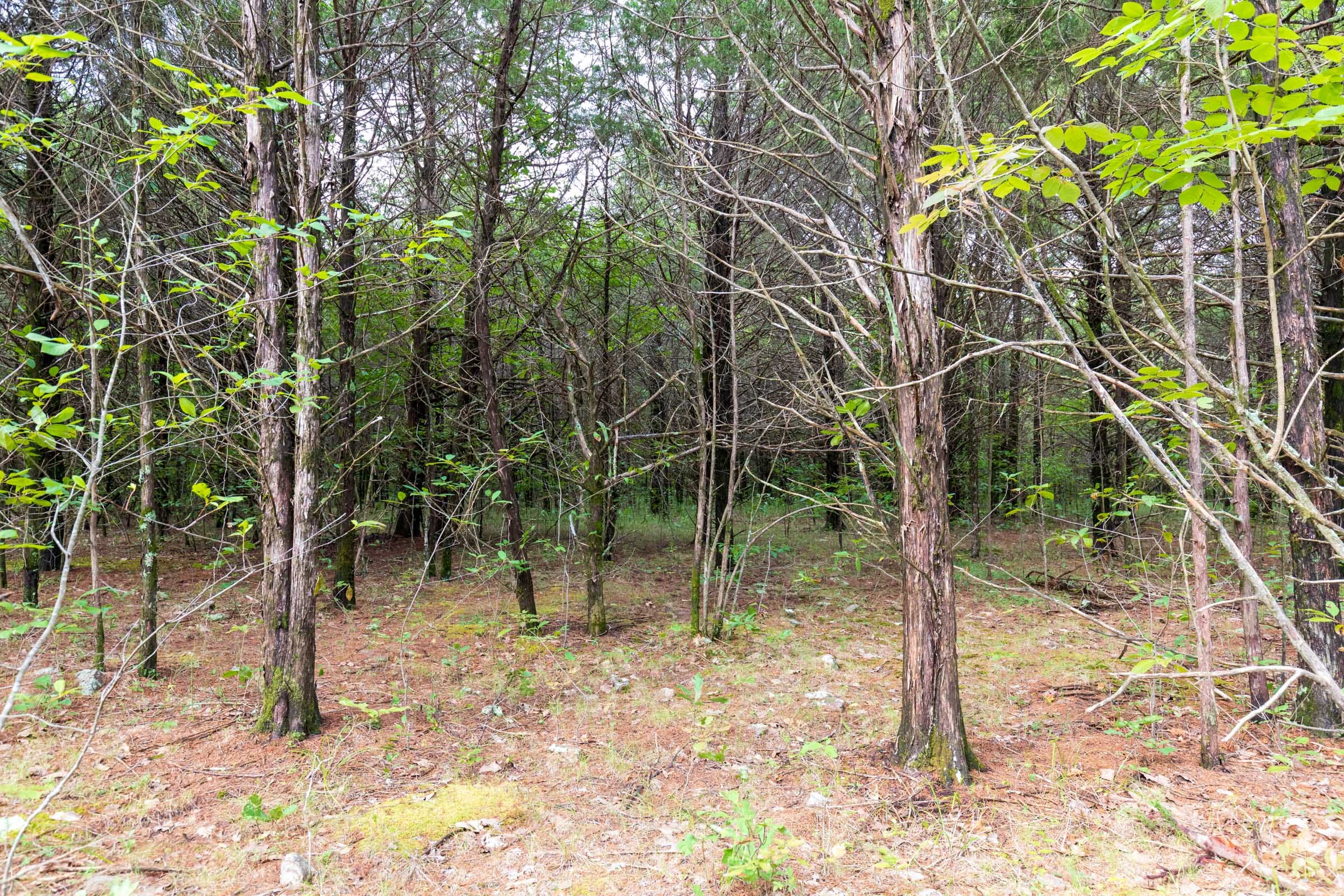 Heritage Bend Tract 11 photo 6