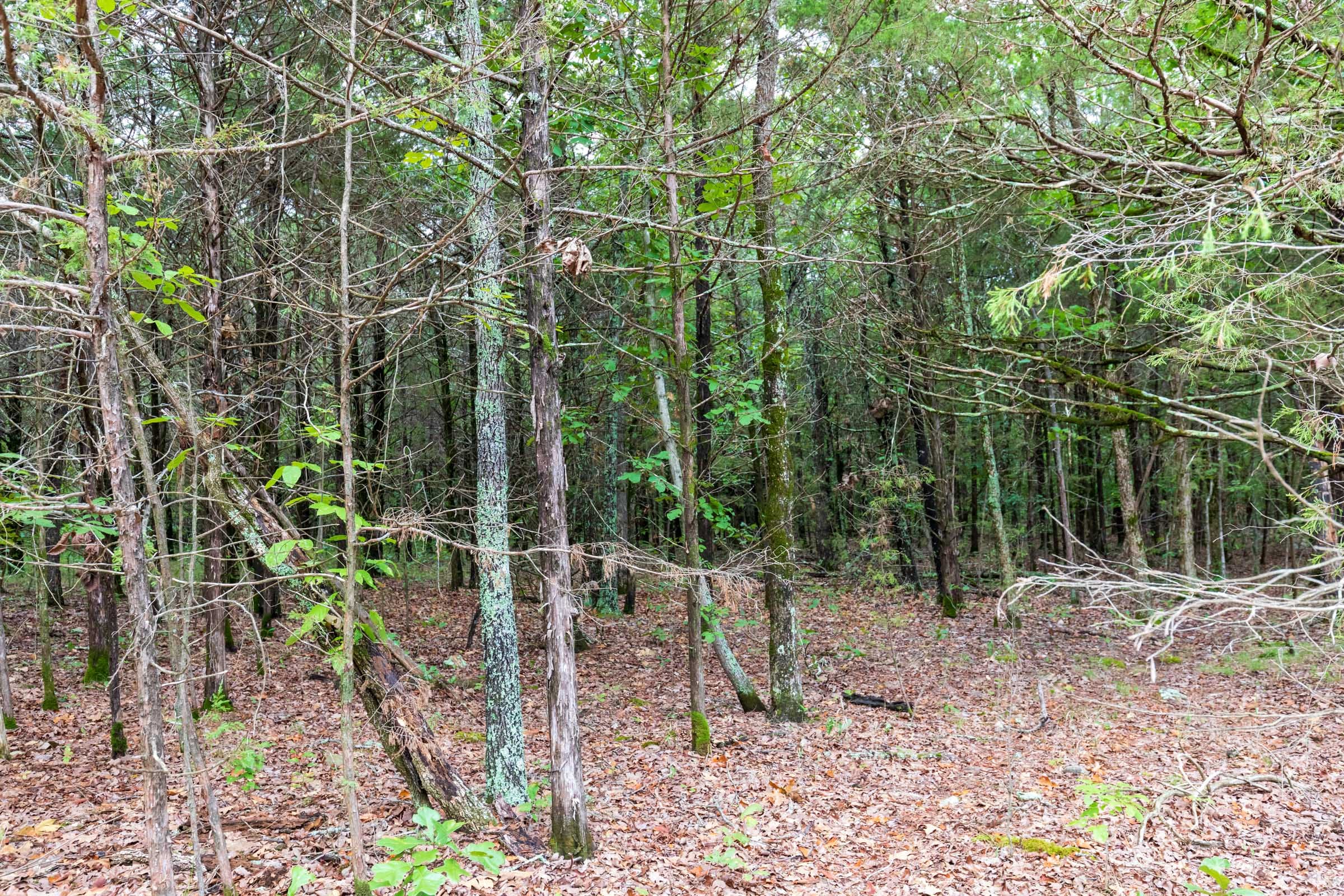 Heritage Bend Tract 11 photo 9