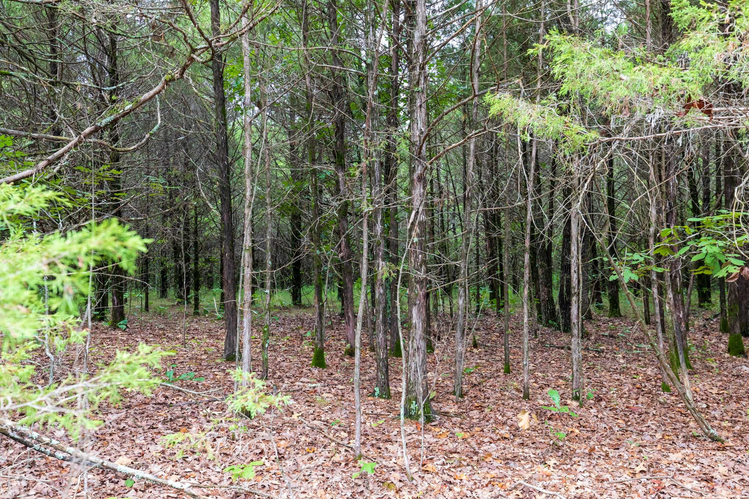 Heritage Bend Tract 11 photo 10