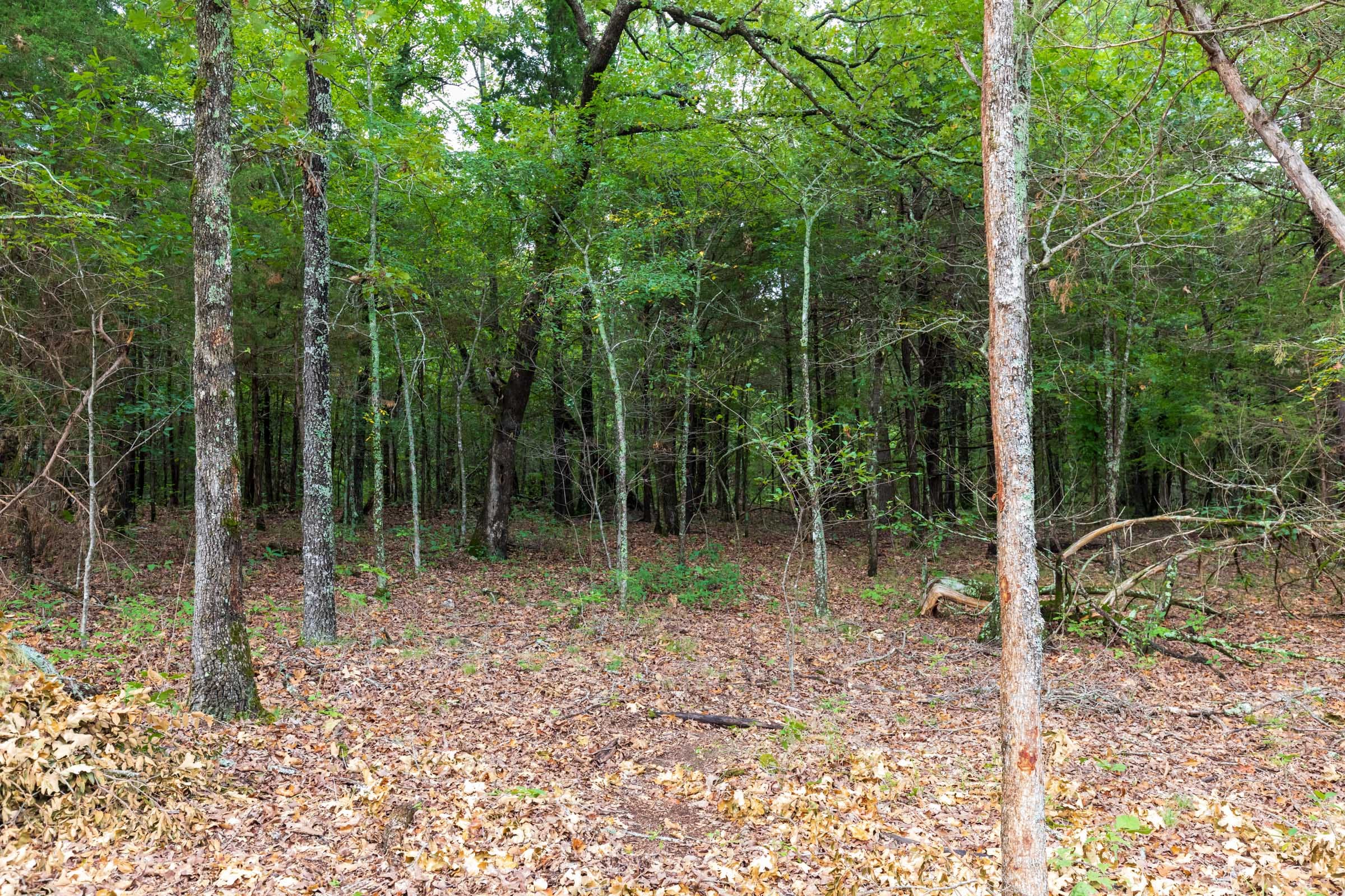 Heritage Bend Tract 11 photo 12
