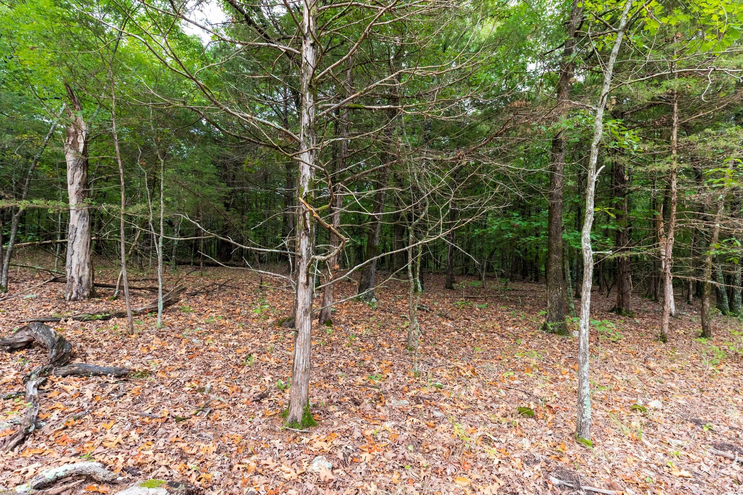 Heritage Bend Tract 11 photo 13