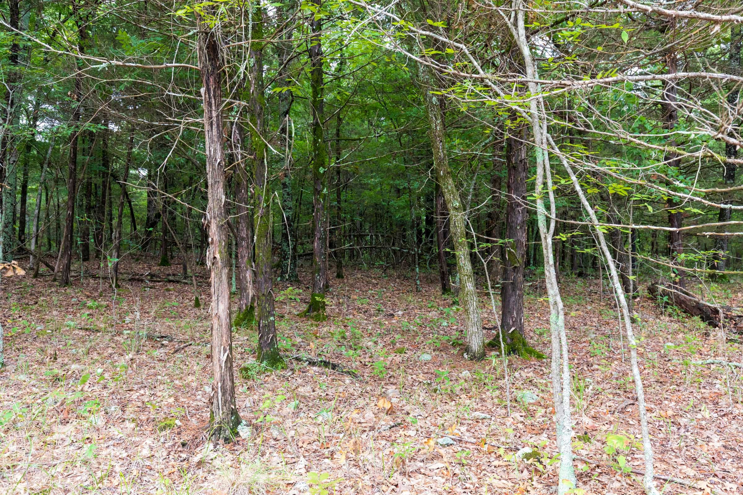 Heritage Bend Tract 11 photo 14