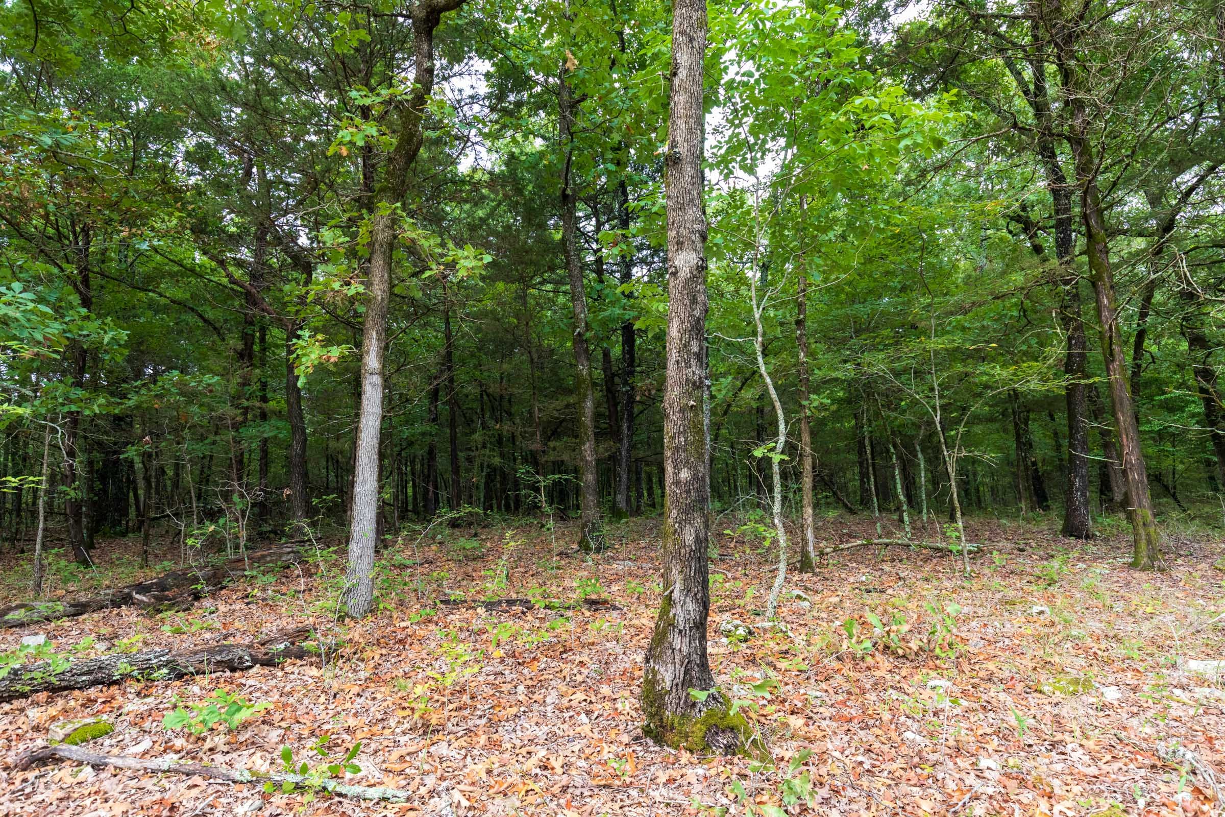 Heritage Bend Tract 11 photo 15