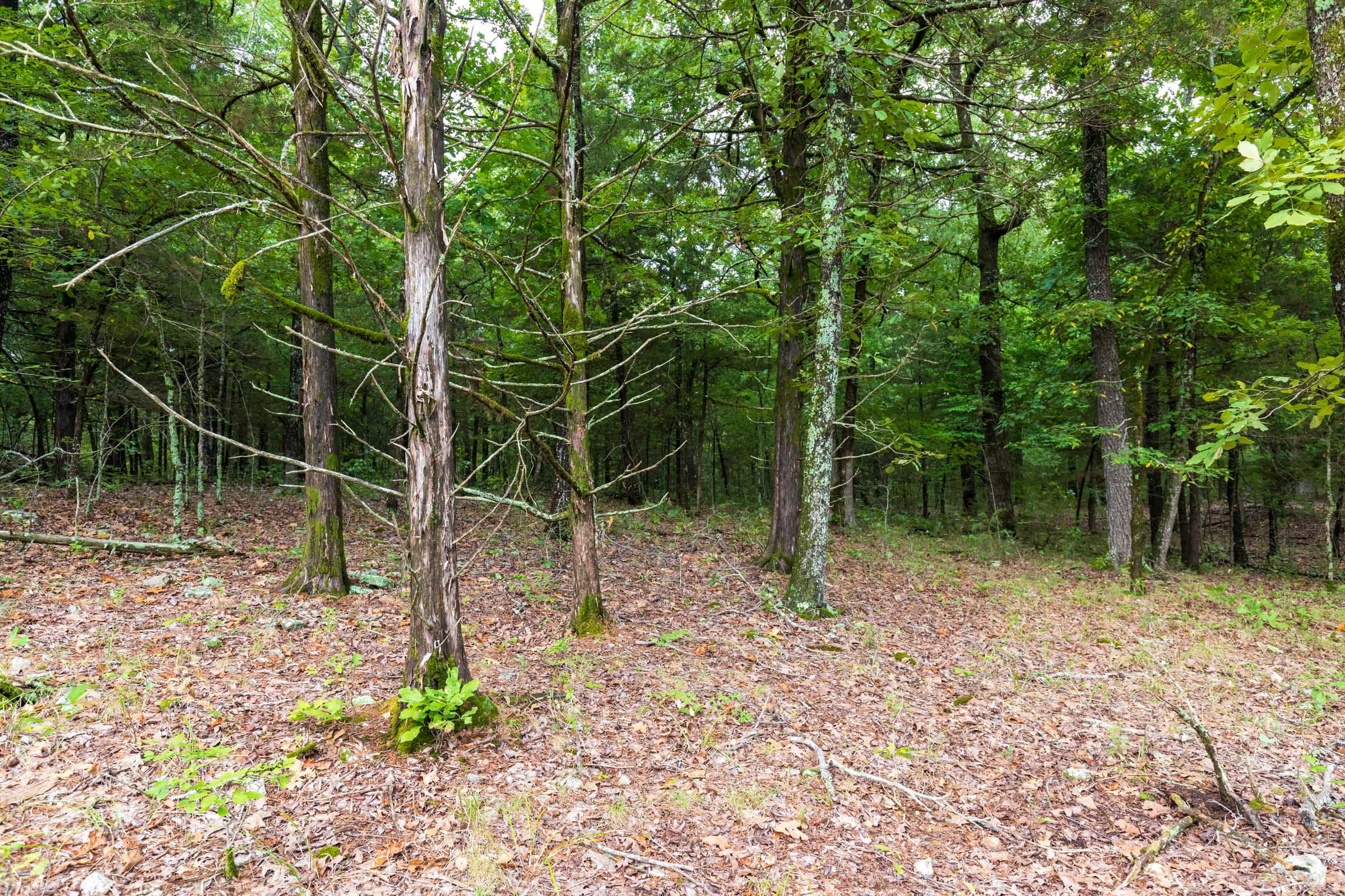 Heritage Bend Tract 11 photo 16