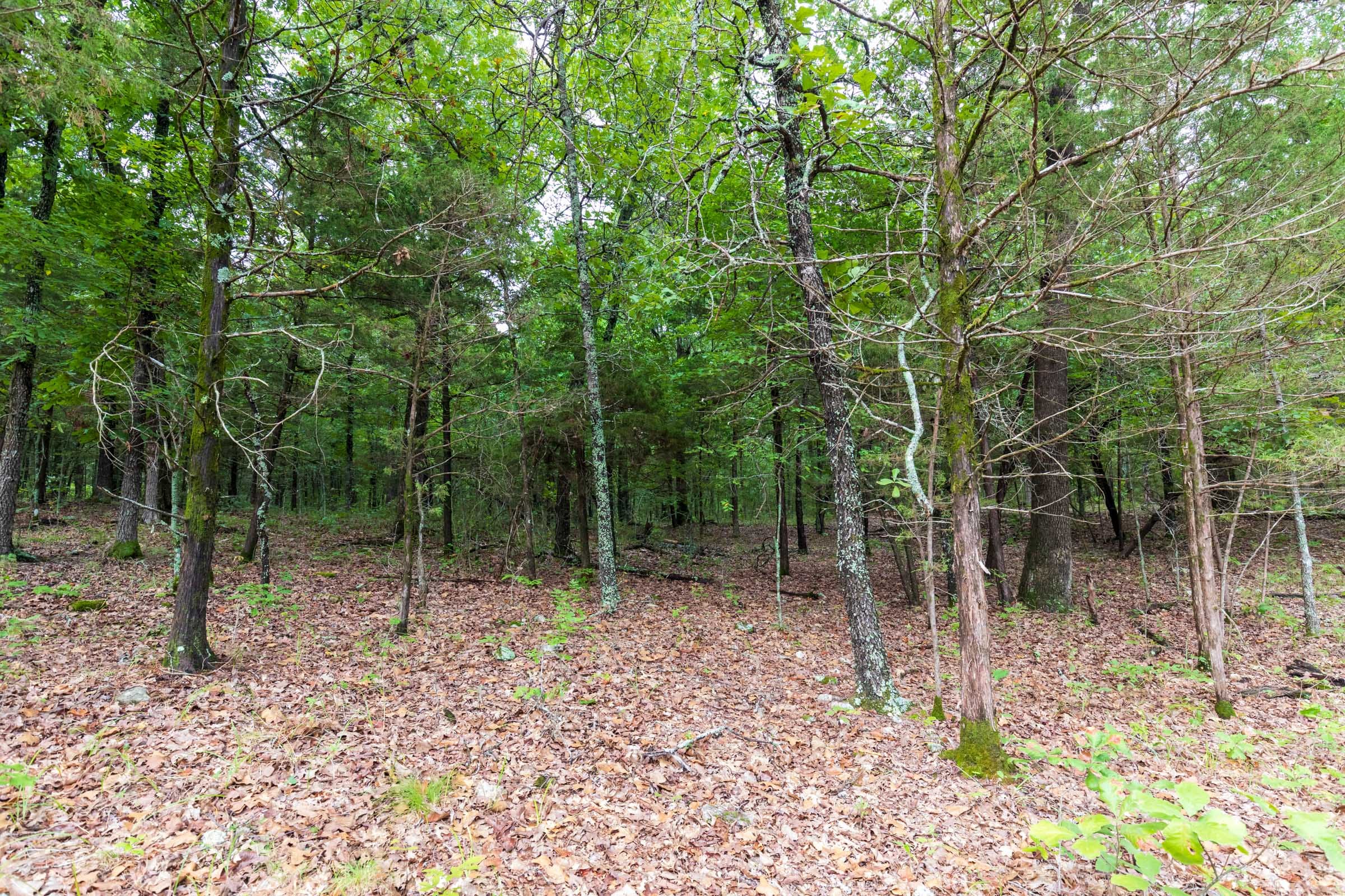 Heritage Bend Tract 11 photo 17