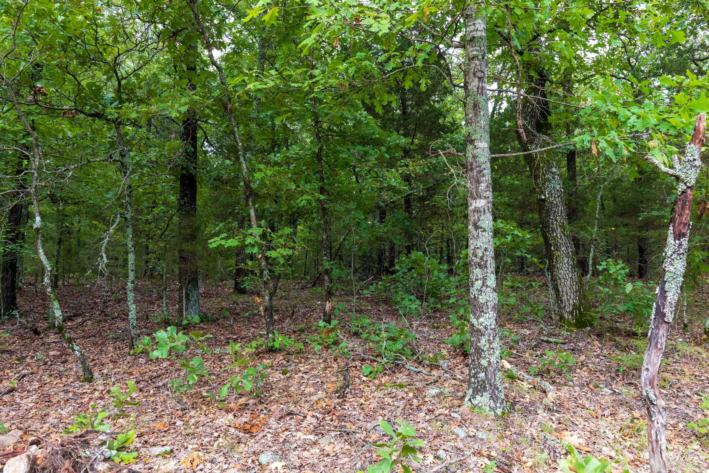 Heritage Bend Tract 11 photo 18