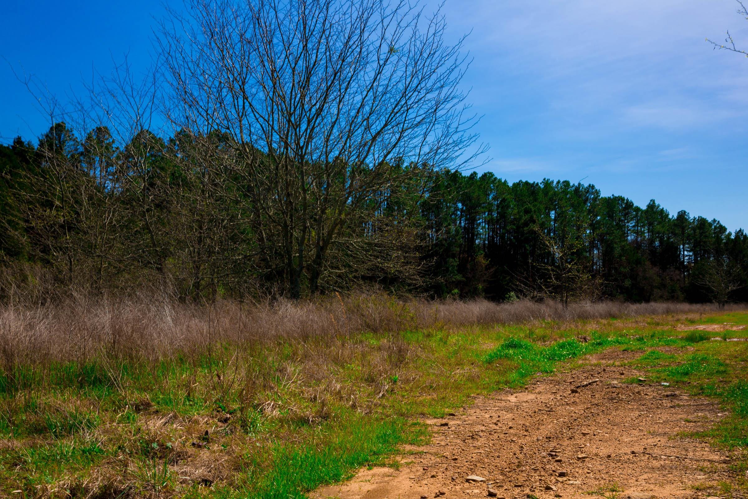 Stone Creek Phase II Tract 226 photo 4