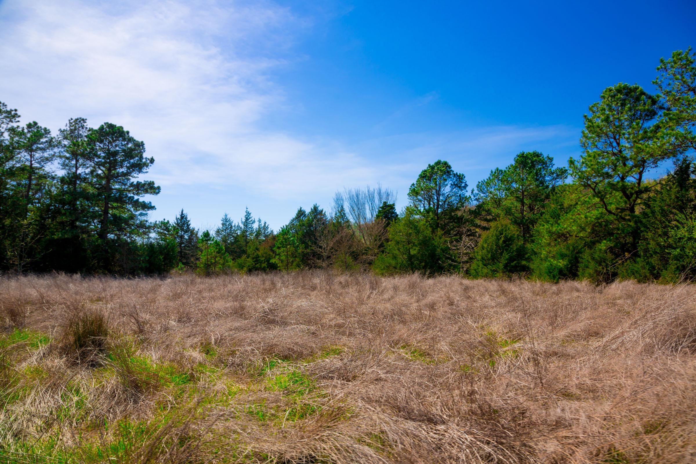 Stone Creek Phase II Tract 226 photo 5