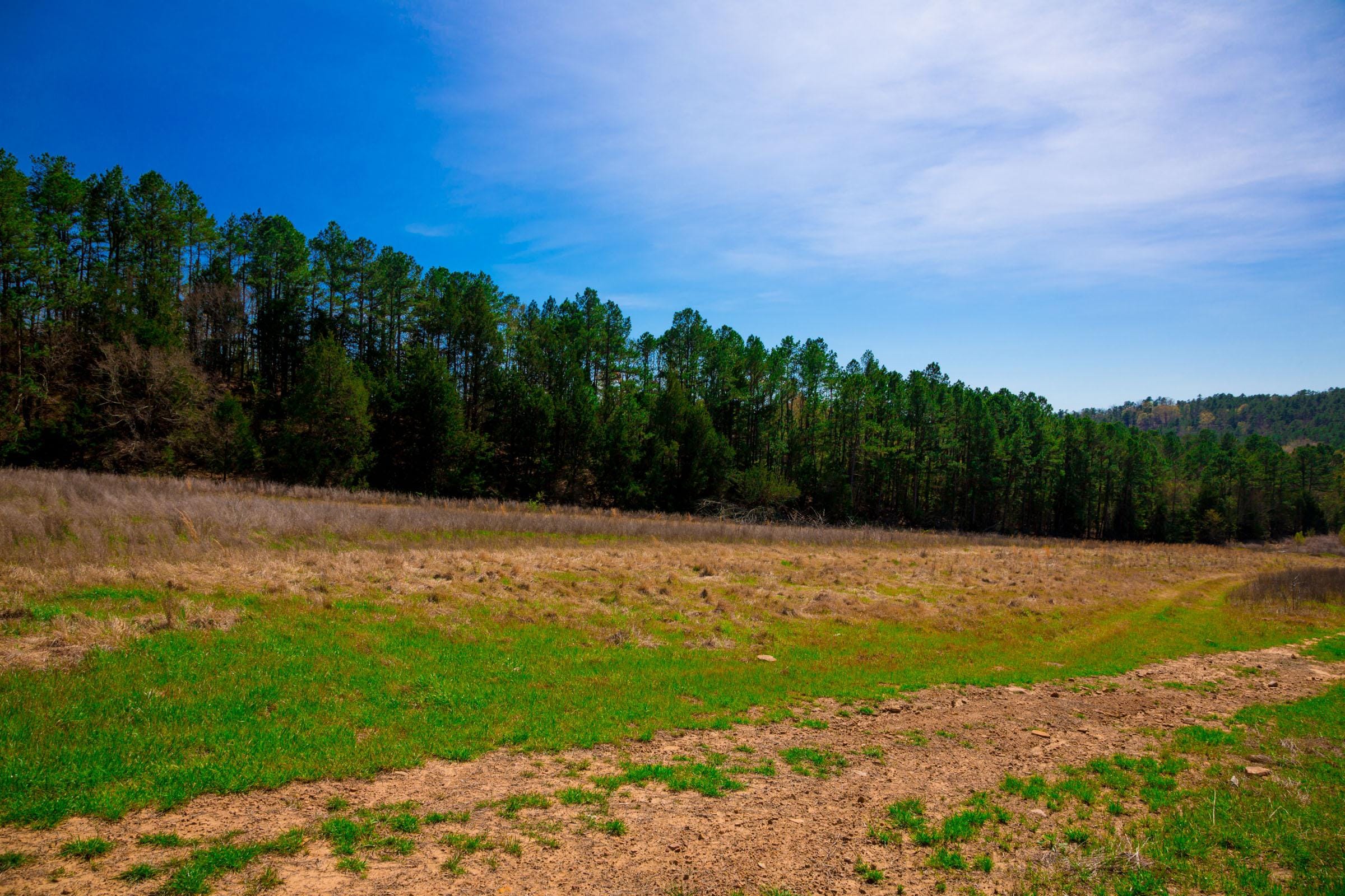Stone Creek Phase II Tract 226 photo 7