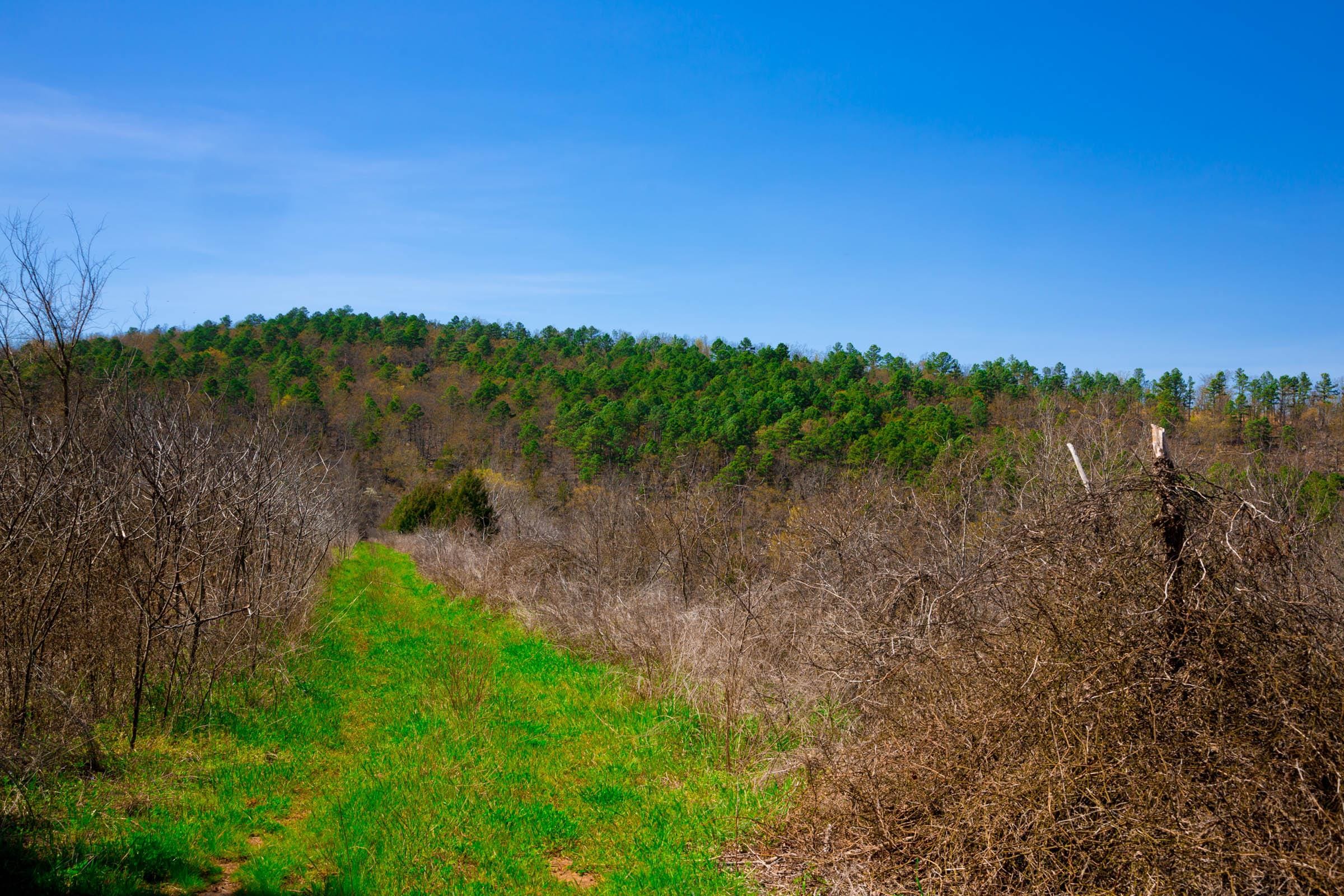 Stone Creek Phase II Tract 226 photo 8