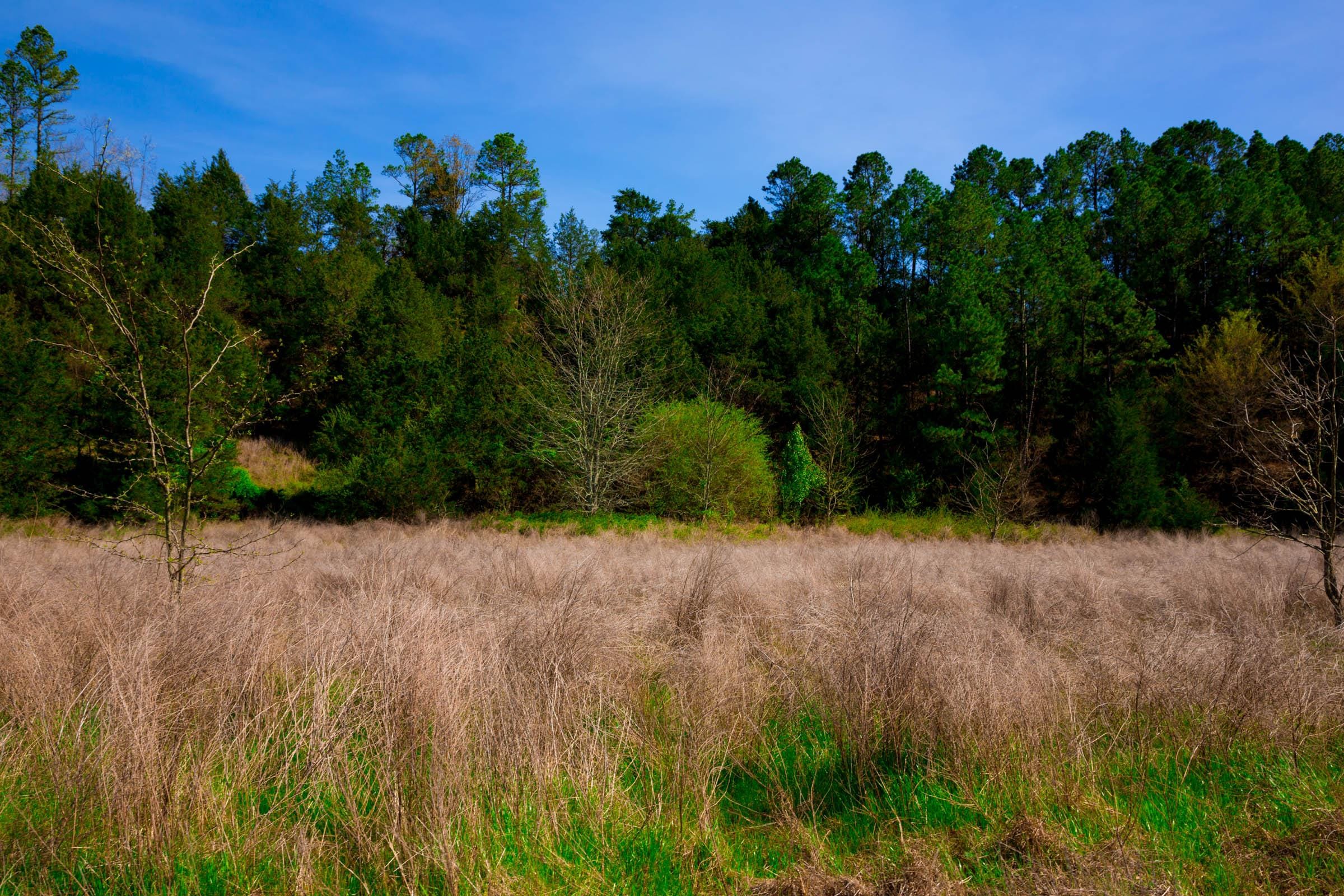 Stone Creek Phase II Tract 226 photo 11