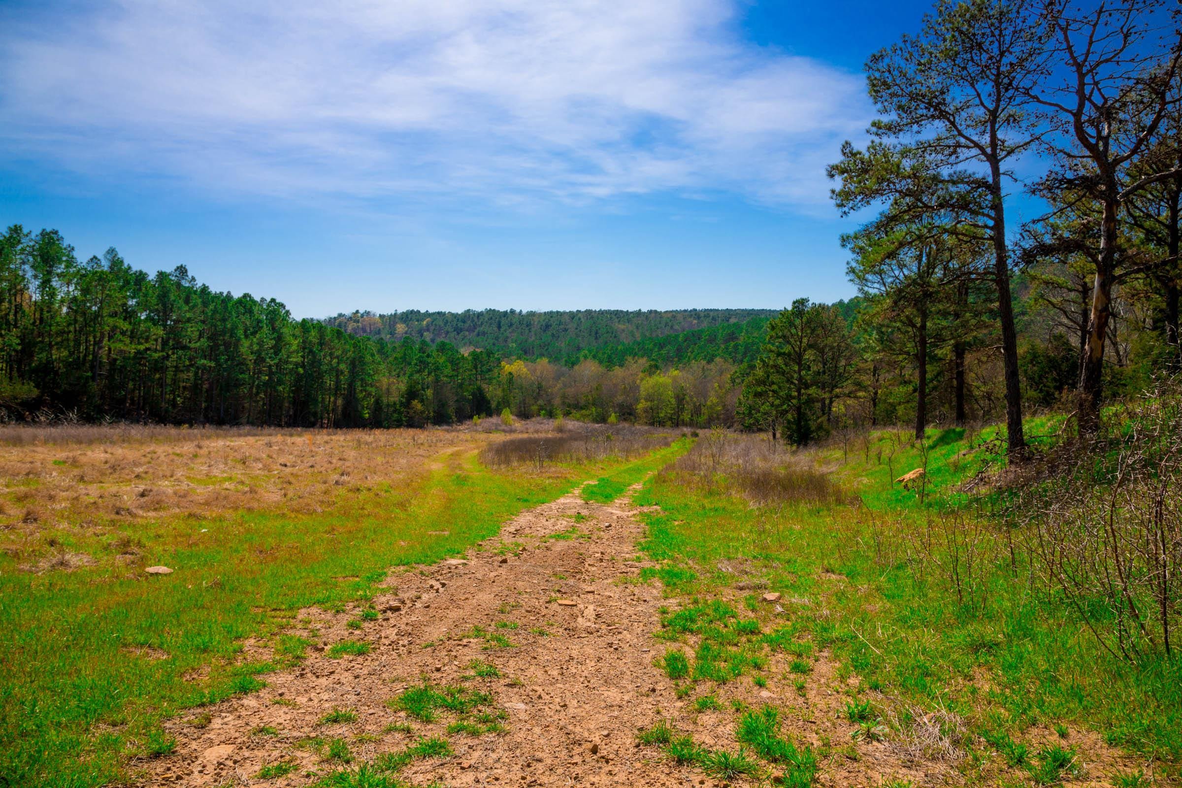 Stone Creek Phase II Tract 226 photo 1