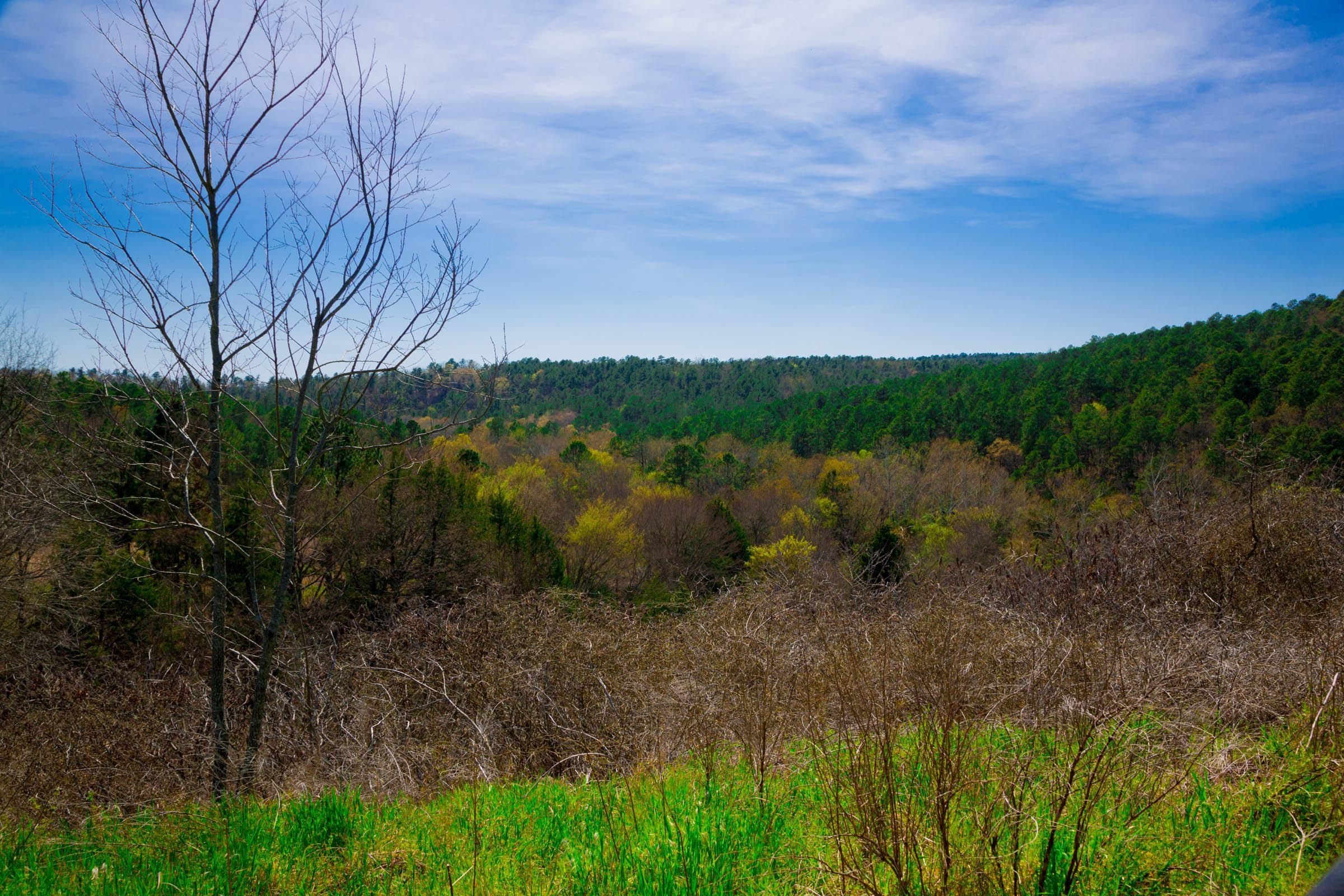 Stone Creek Phase II Tract 226 photo 12