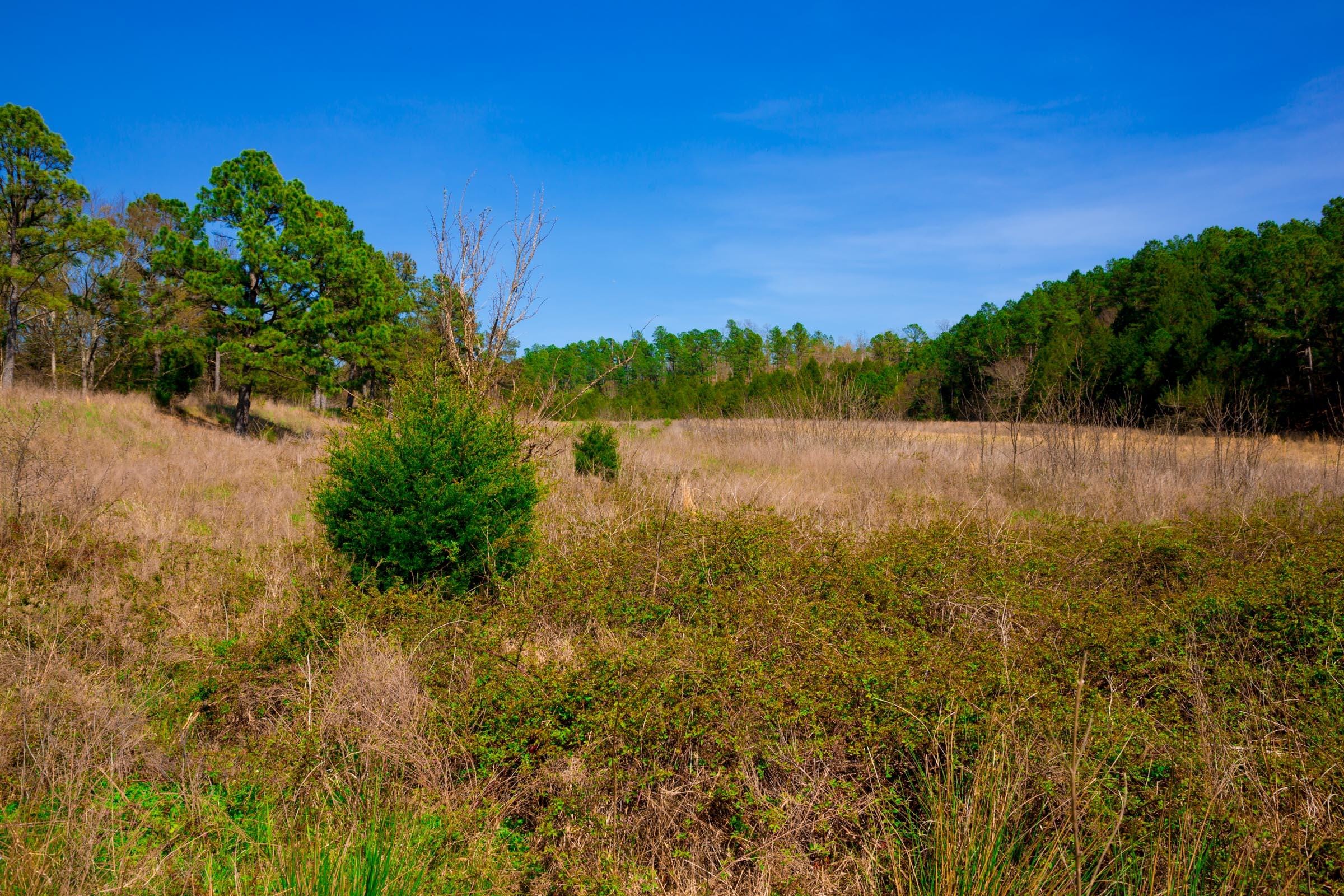 Stone Creek Phase II Tract 226 photo 14