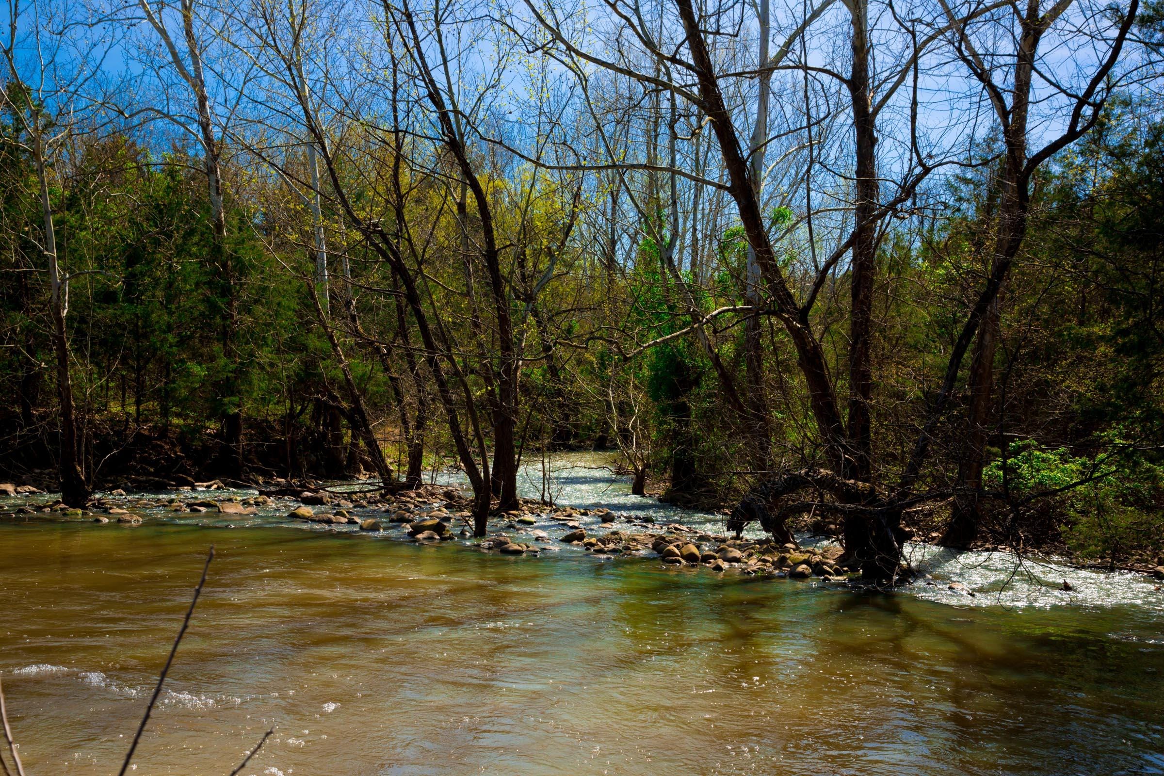 Stone Creek Phase II Tract 226 photo 2