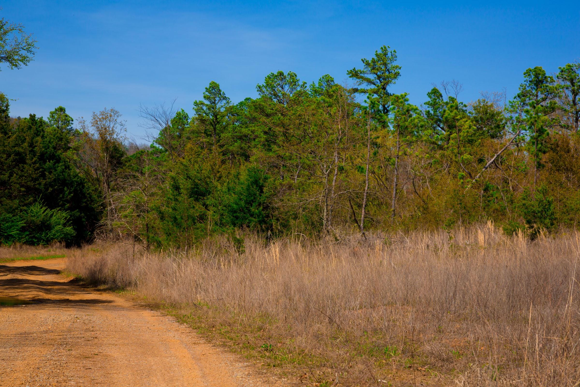 Stone Creek Phase II Tract 226 photo 15
