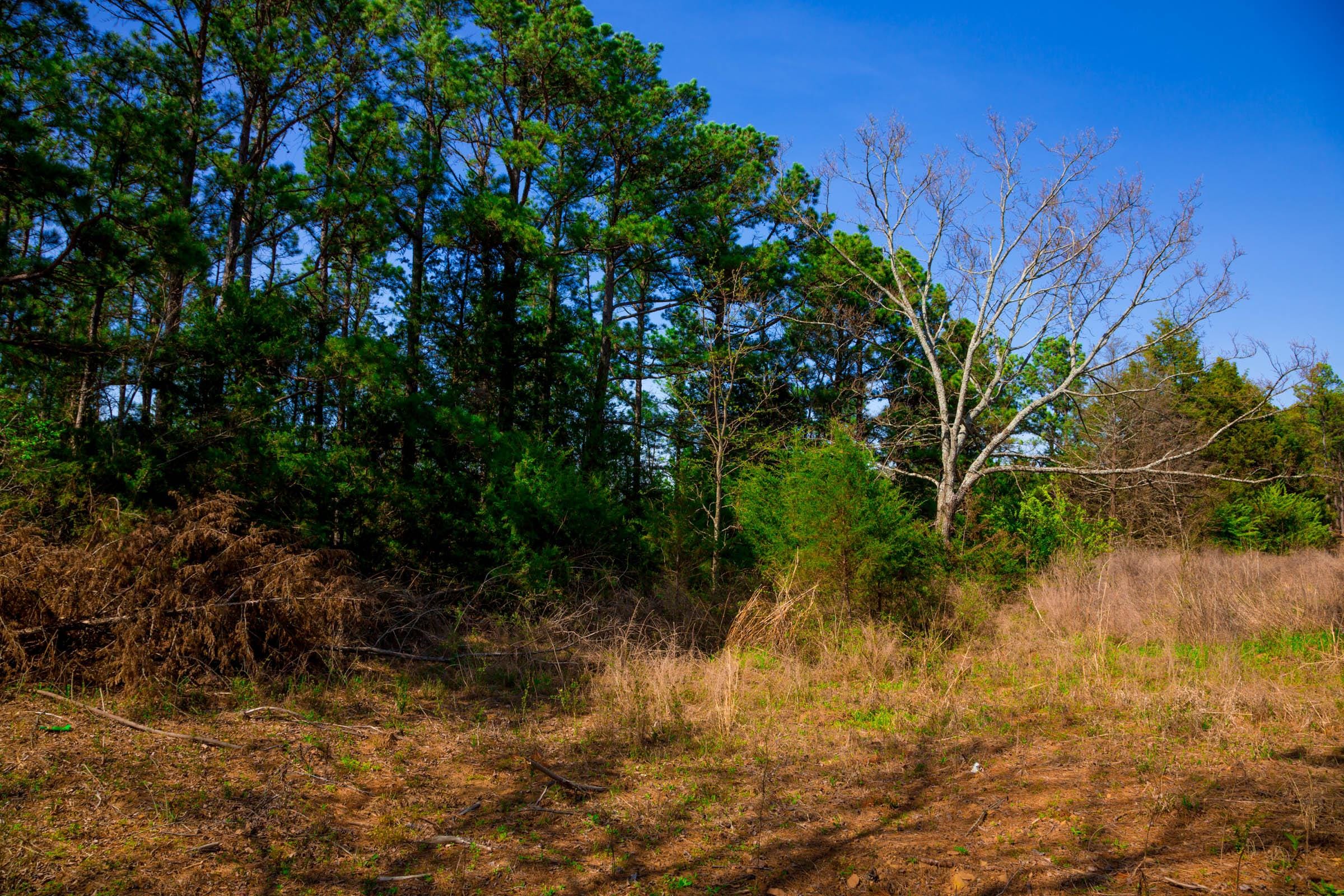 Stone Creek Phase II Tract 226 photo 17