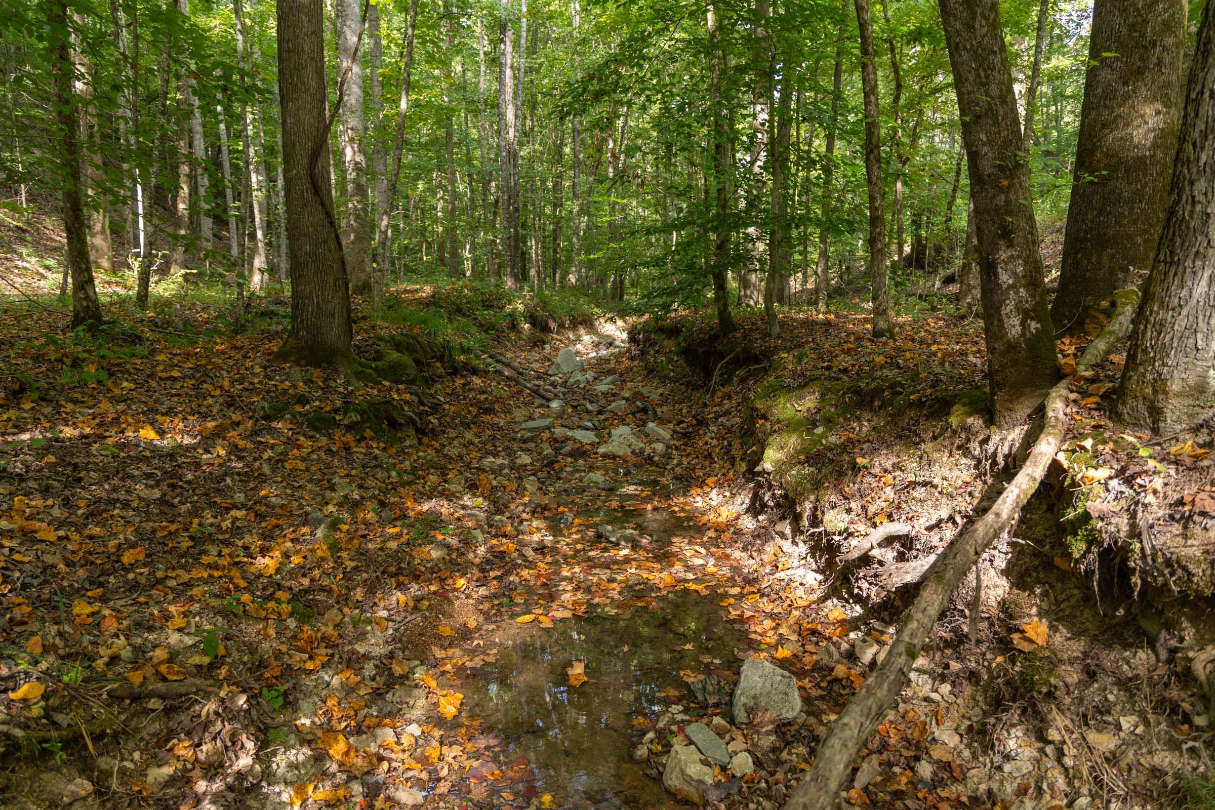 Big White Oak Tract 149 photo 21
