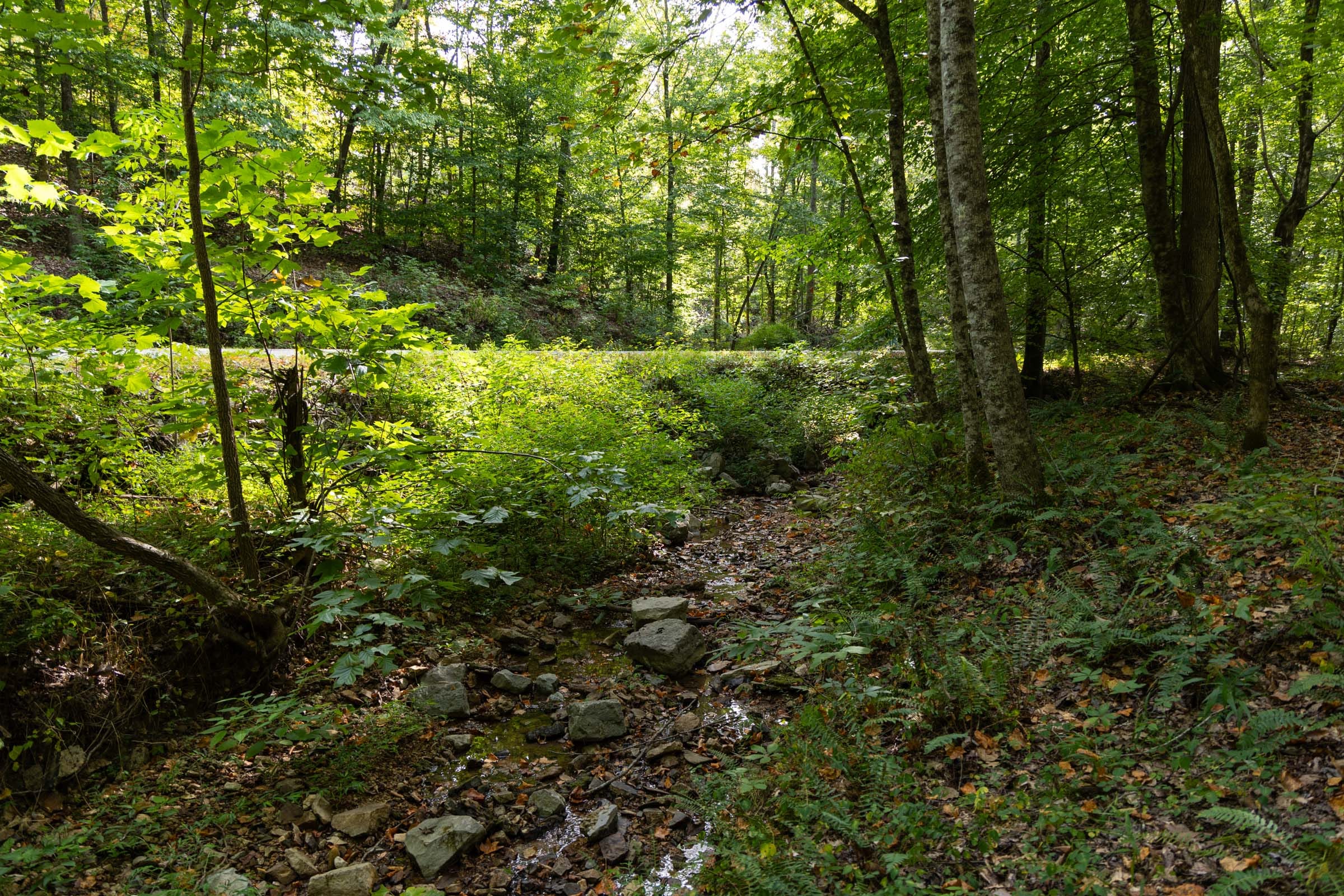 Big White Oak Tract 149 photo 19