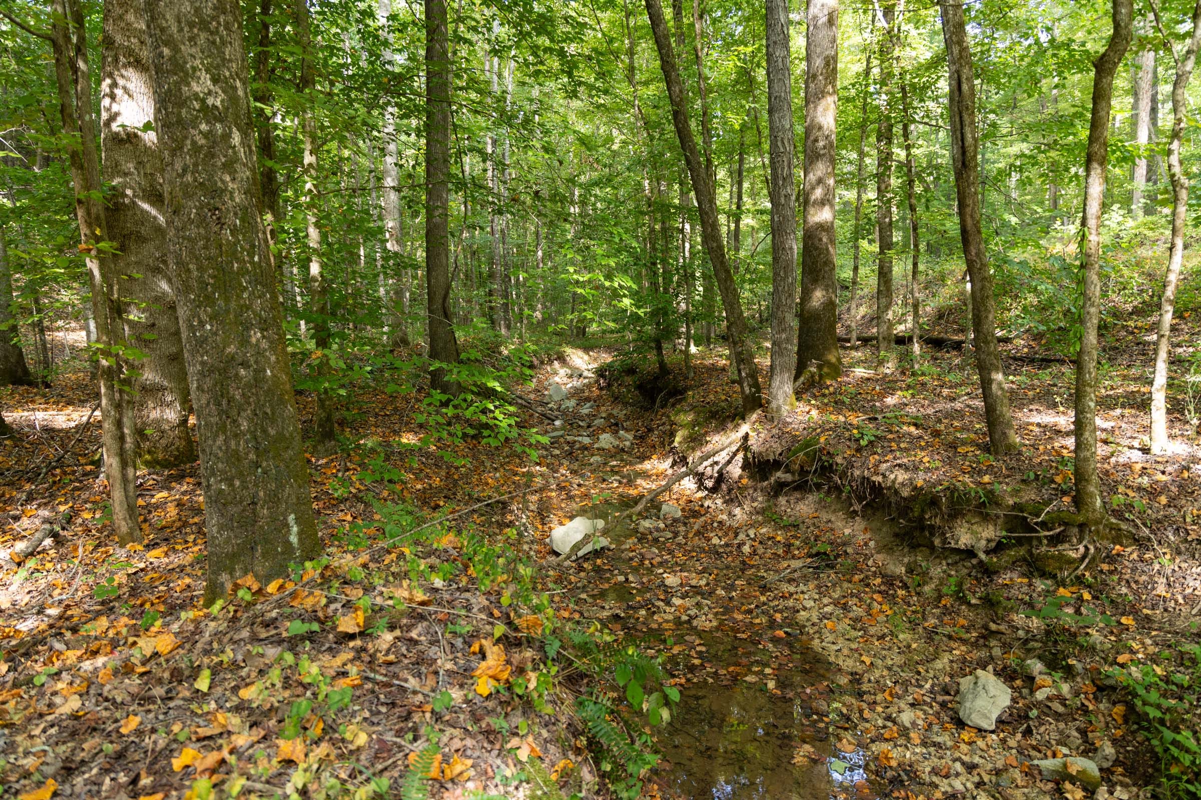 Big White Oak Tract 149 photo 16