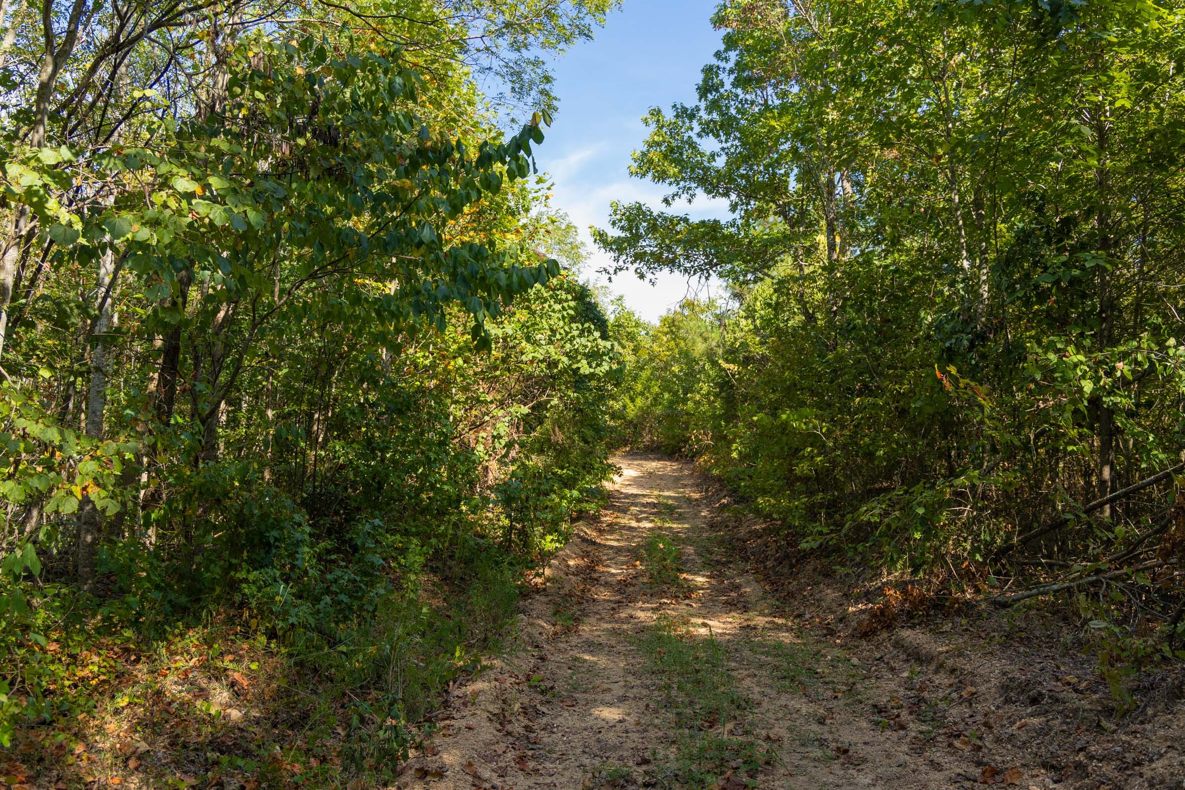 Big White Oak Tract 149 photo 1