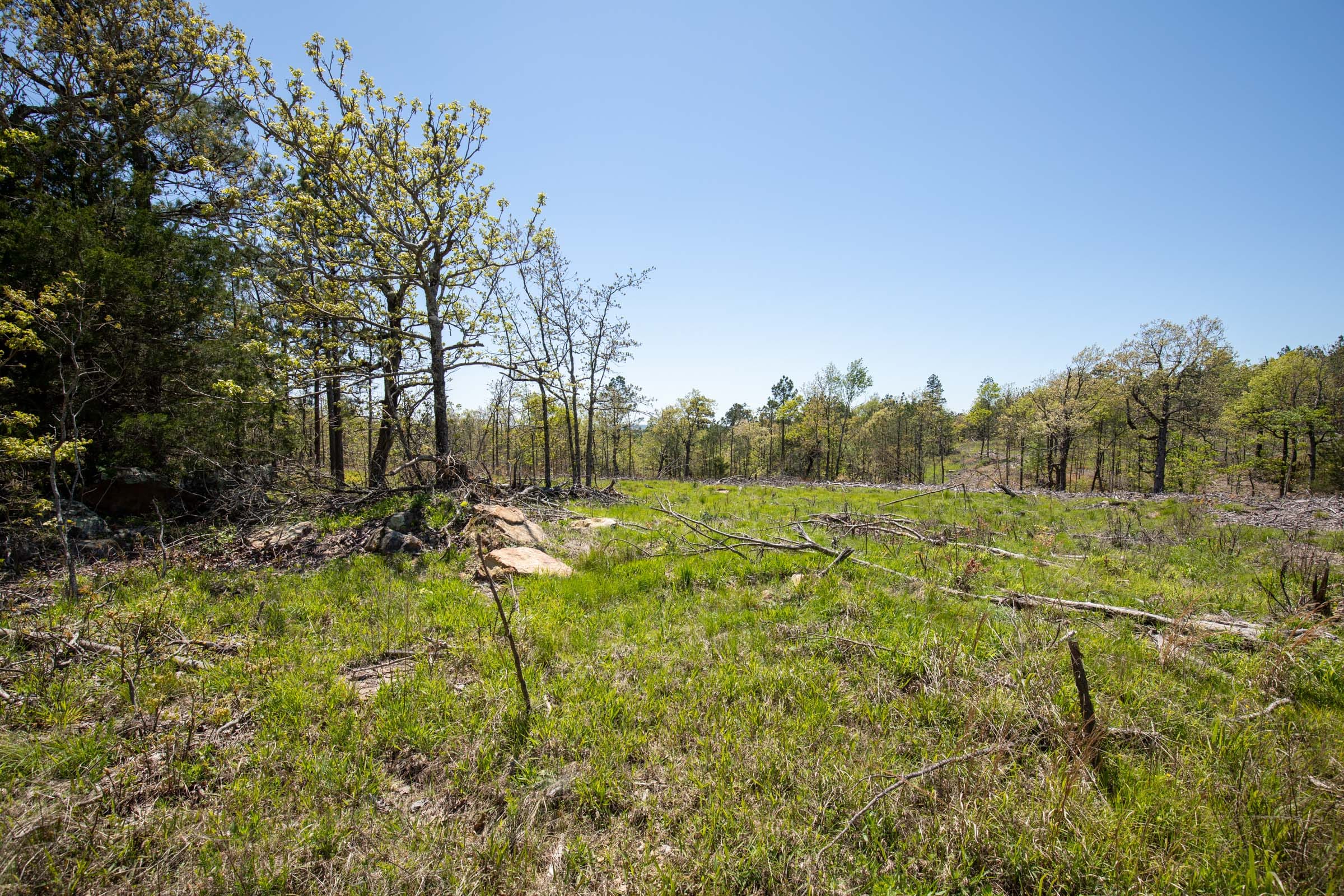 Eagle’s Nest Tract 1 photo 3