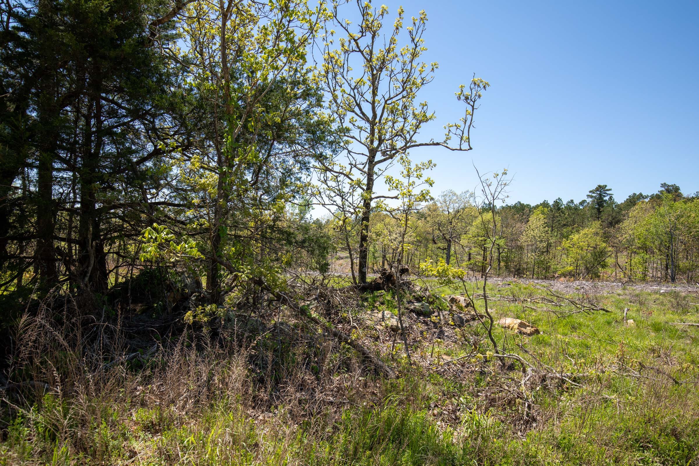 Eagle’s Nest Tract 1 photo 4