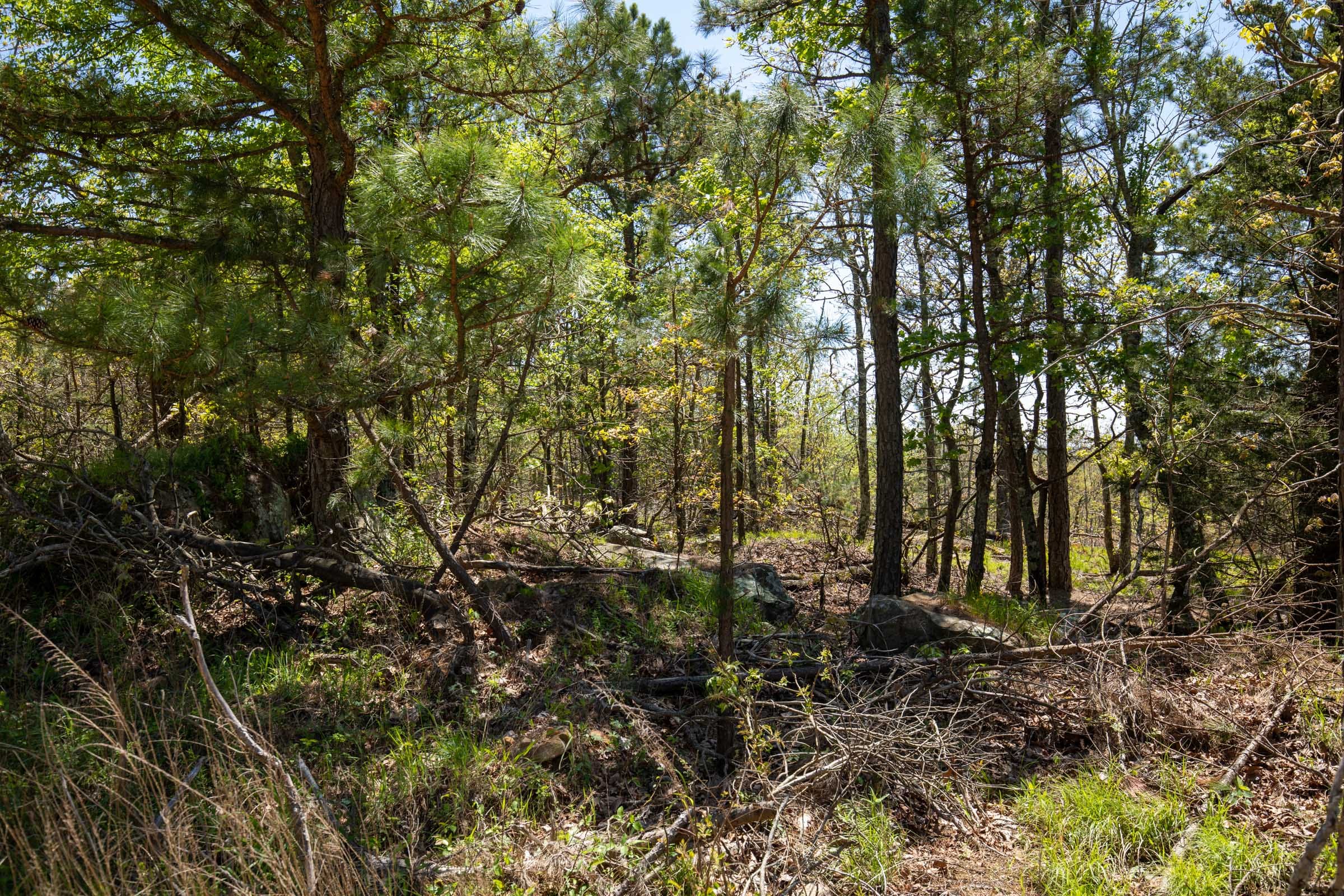 Eagle’s Nest Tract 1 photo 5