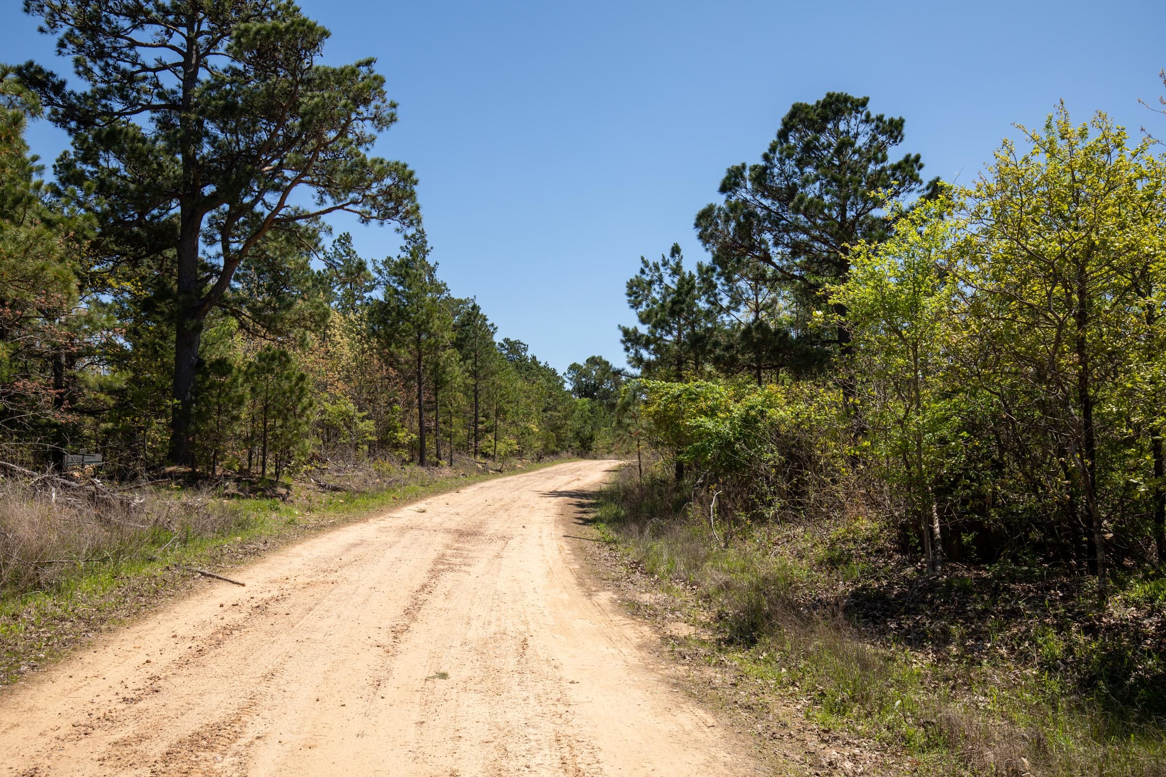 Eagle’s Nest Tract 1 photo 8