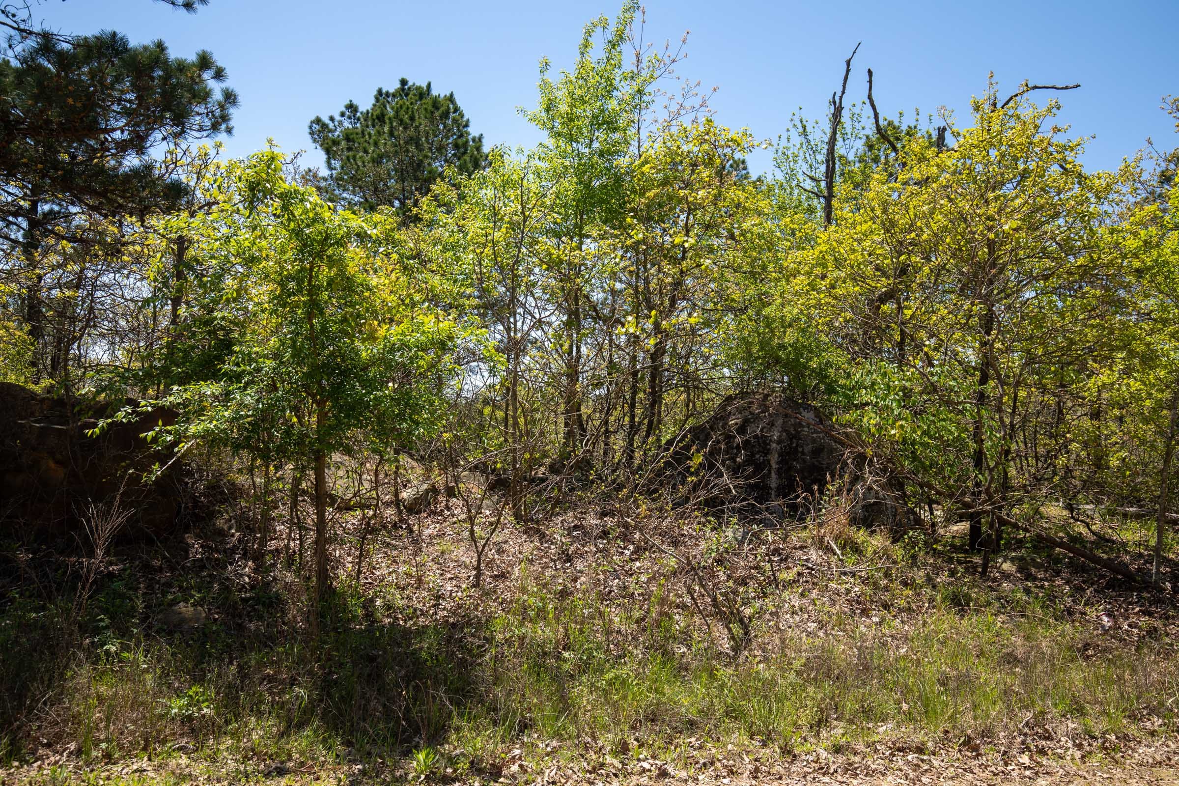 Eagle’s Nest Tract 1 photo 6