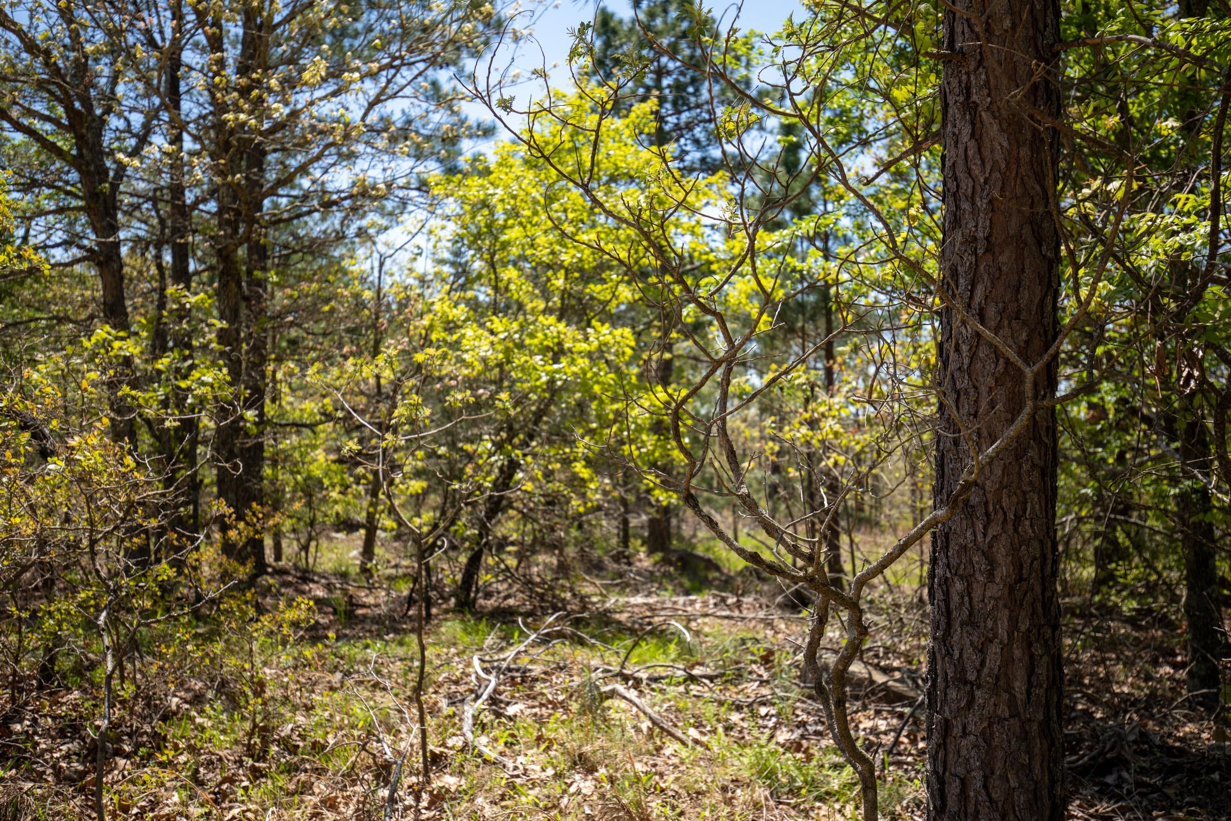 Eagle’s Nest Tract 1 photo 7