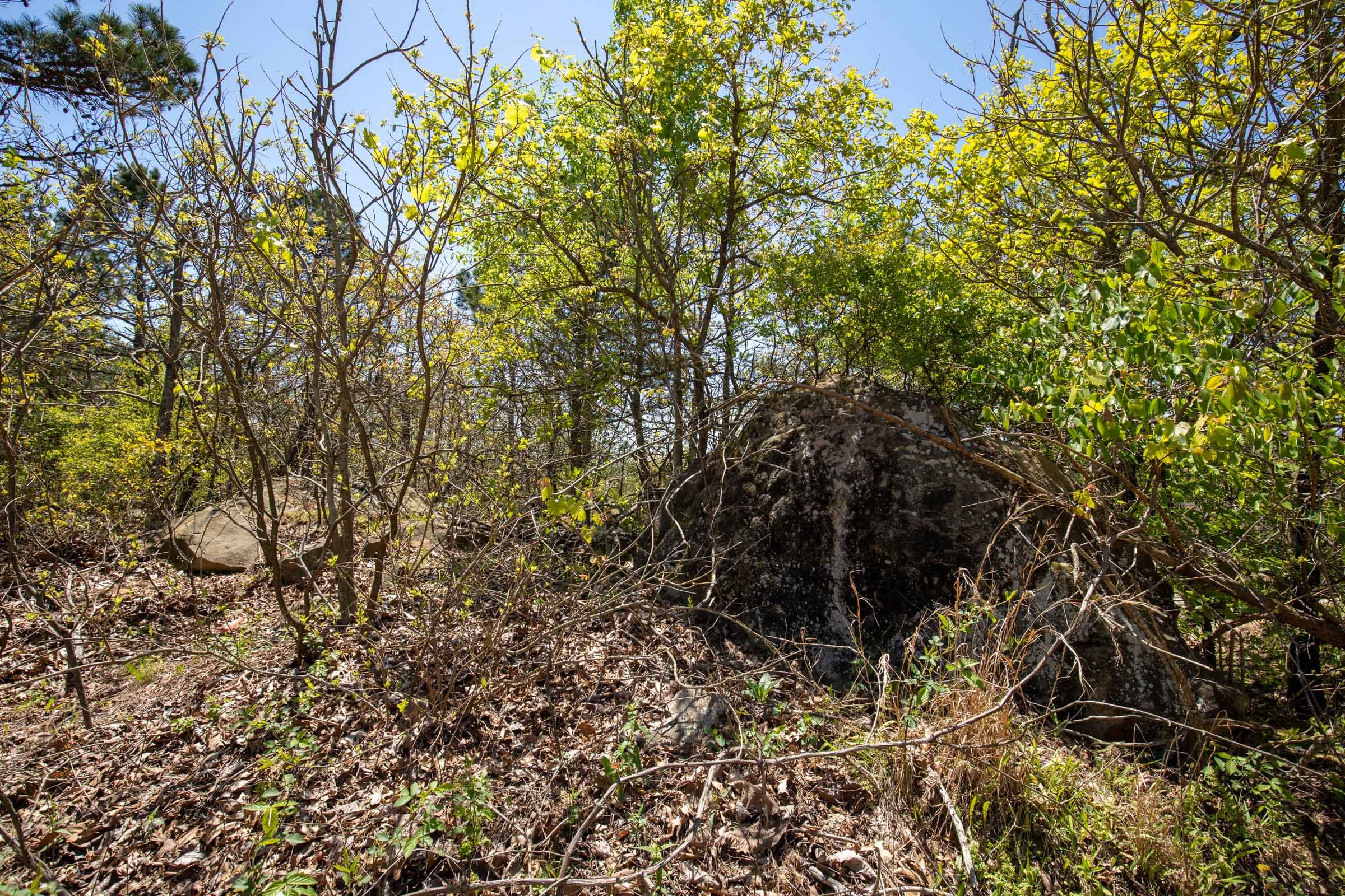 Eagle’s Nest Tract 1 photo 9