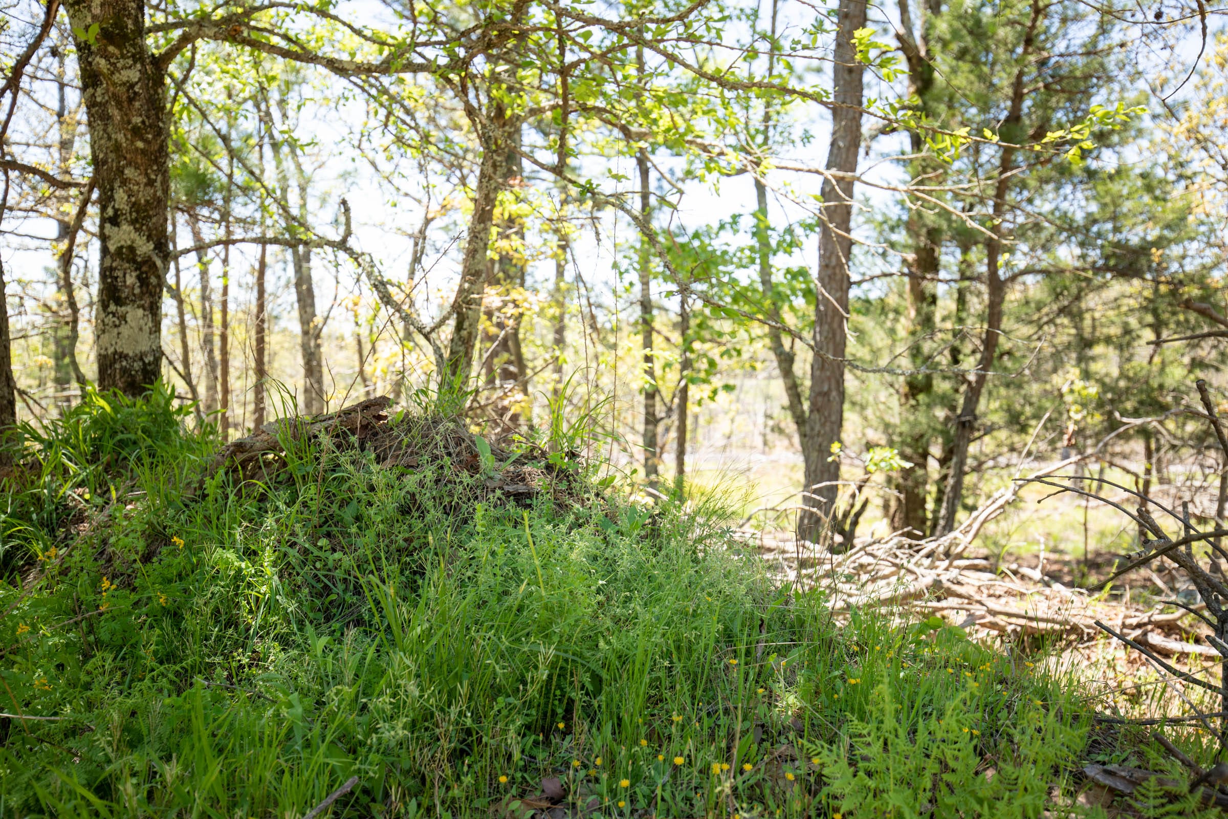 Eagle’s Nest Tract 1 photo 10
