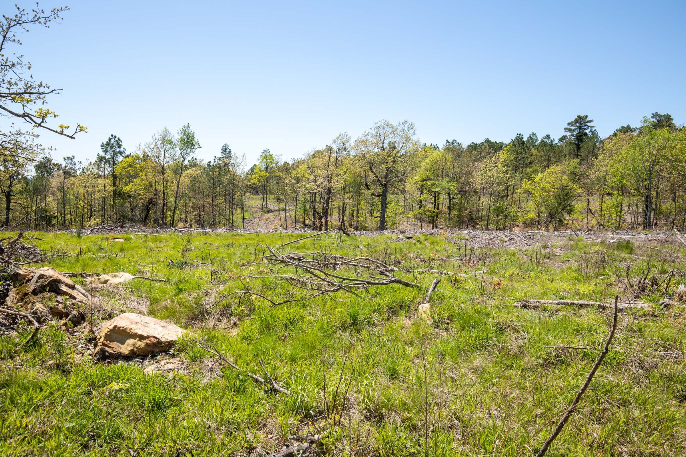 Eagle’s Nest Tract 1 photo 11