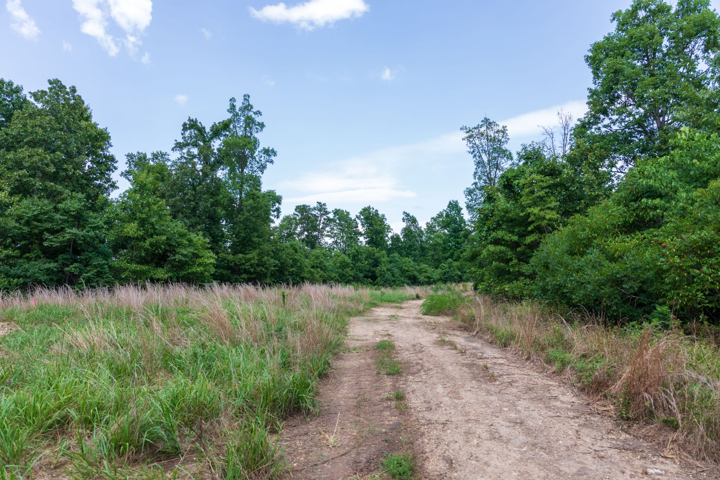 Cypress Ridge Tract 20 photo 1