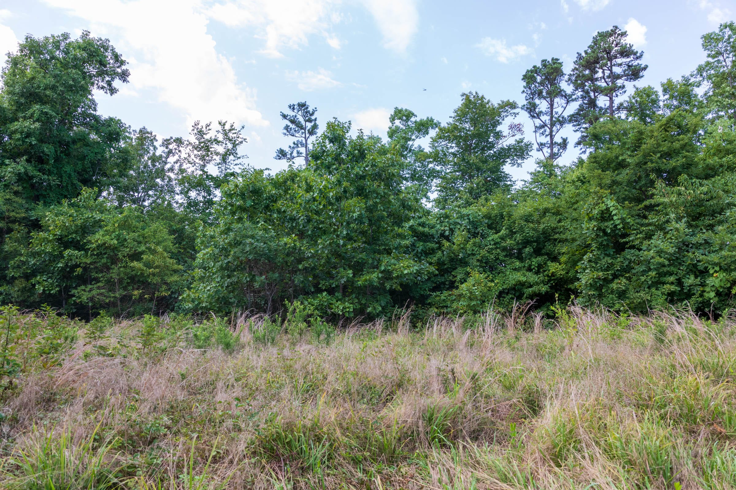 Cypress Ridge Tract 20 photo 2