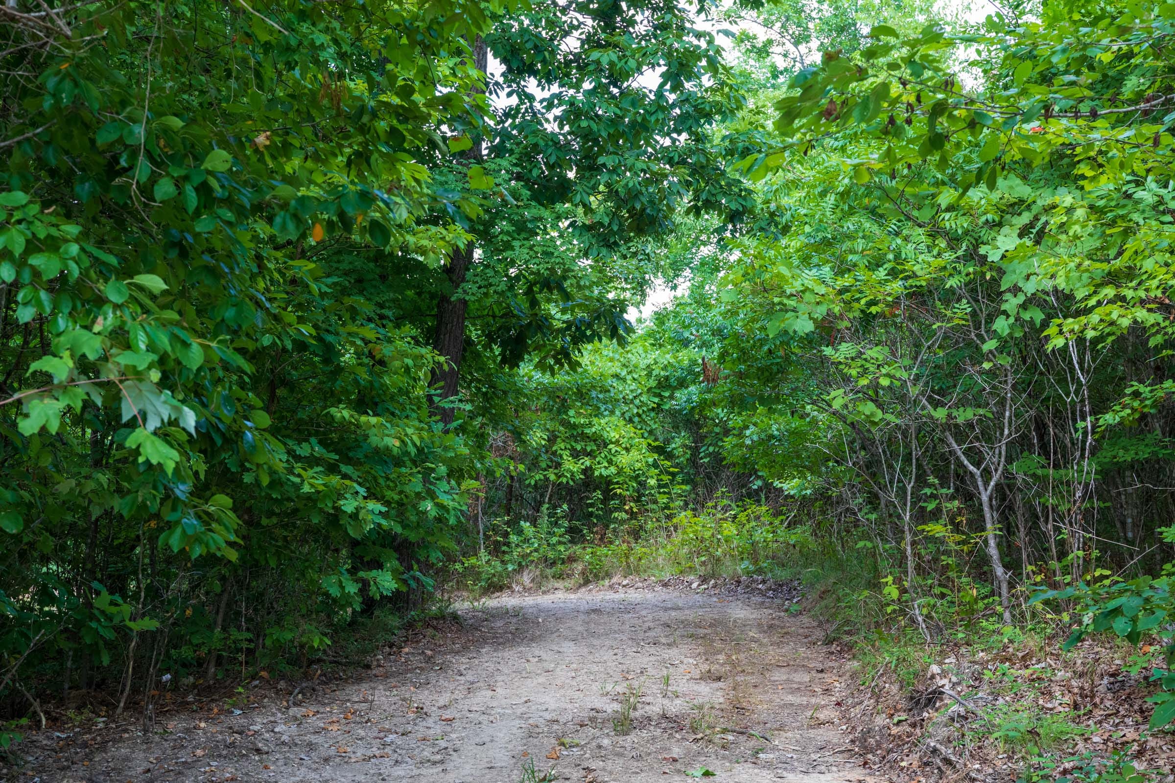 Cypress Ridge Tract 20 photo 4