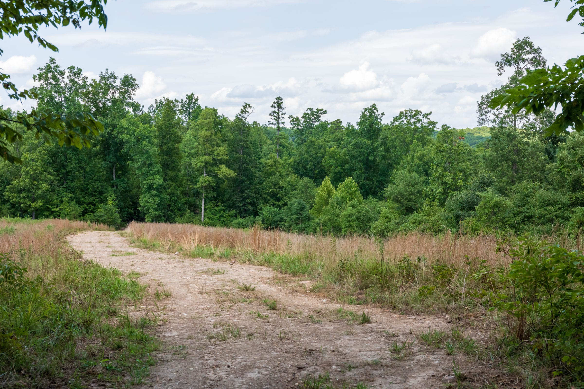 Cypress Ridge Tract 20 photo 7