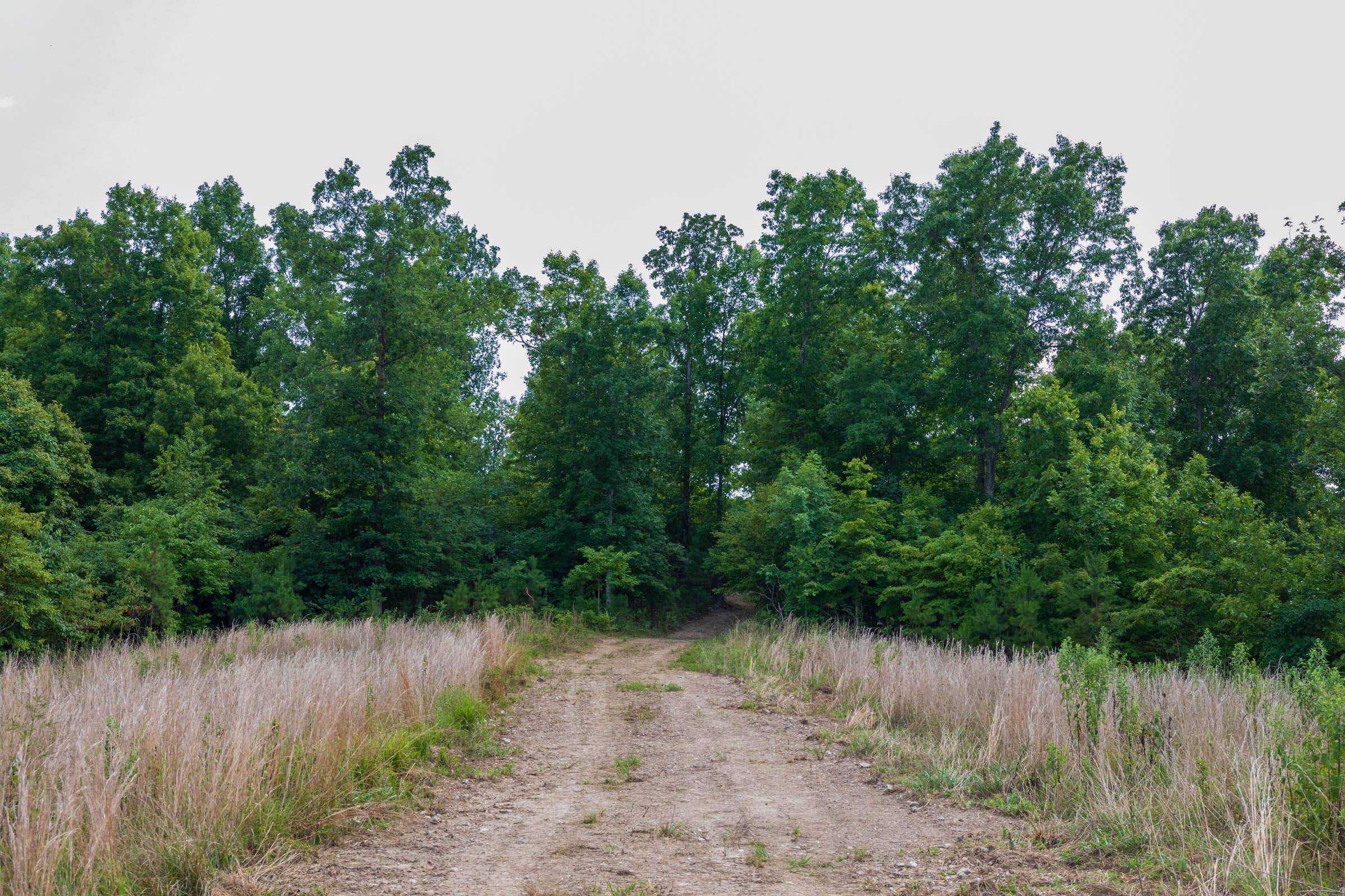 Cypress Ridge Tract 20 photo 10