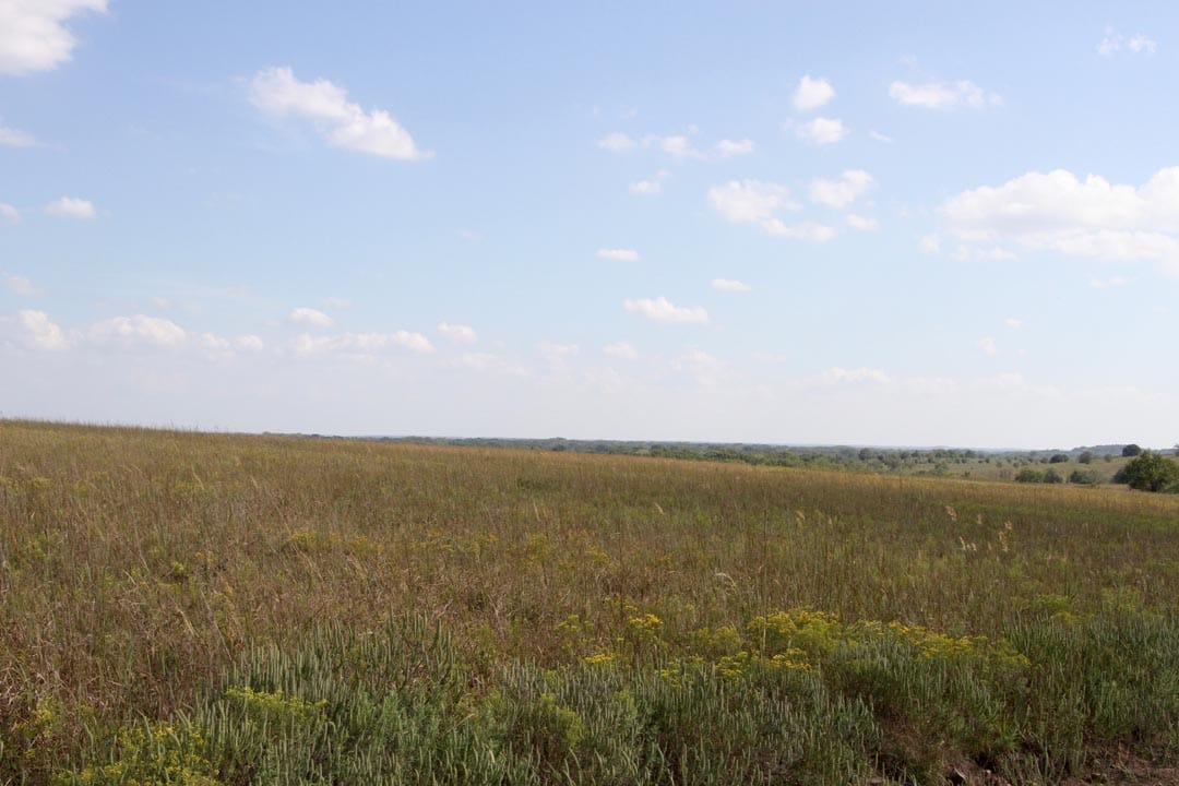 Cowboy Meadows Tract 19 photo 2