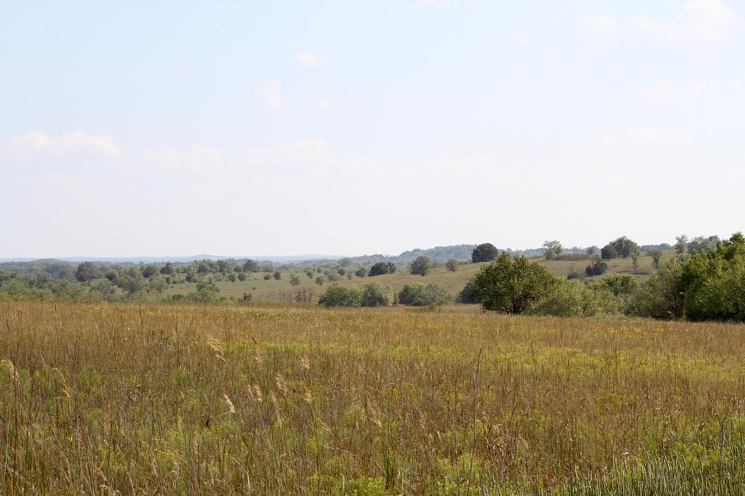 Cowboy Meadows Tract 19 photo 3