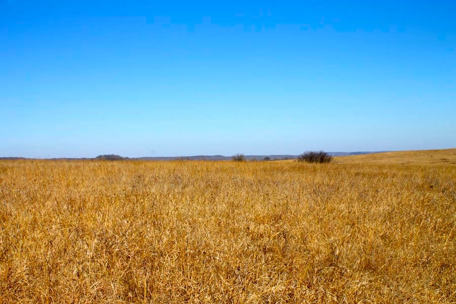 Cowboy Meadows Tract 19 photo 6