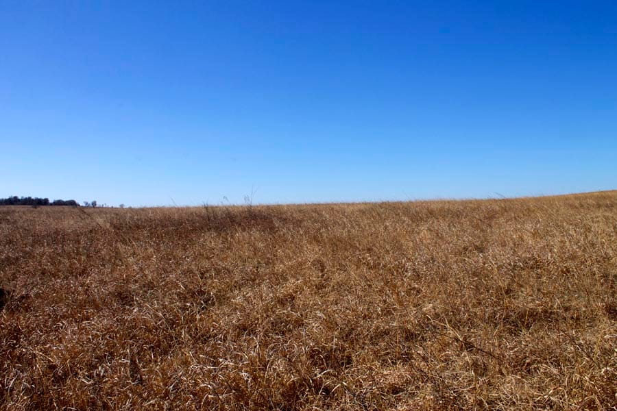 Cowboy Meadows Tract 19 photo 7