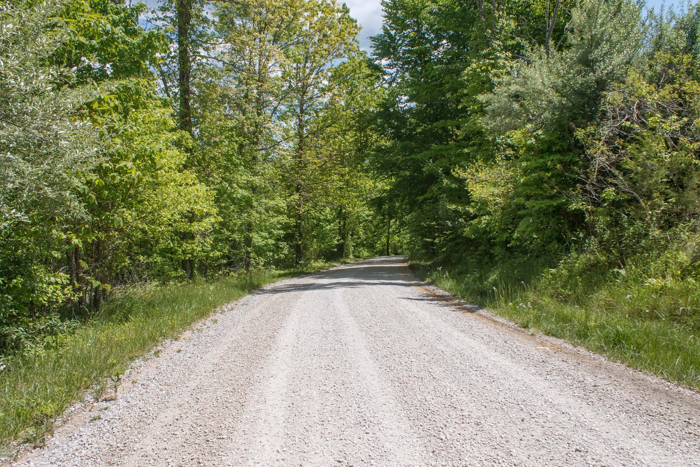 Riverbend Tract 31 photo 2