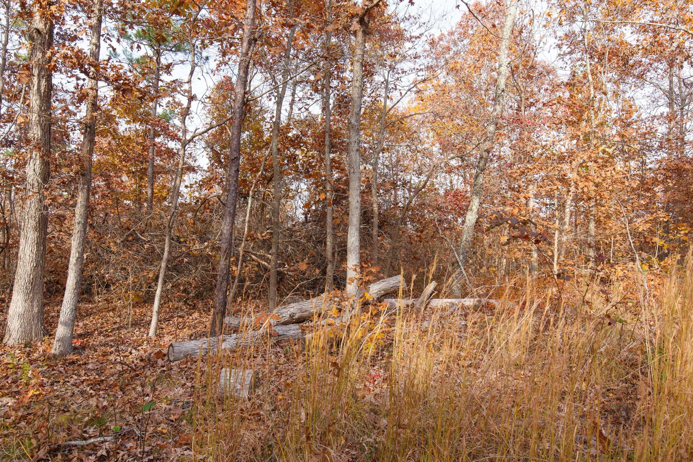 Hawkcrest Tract 30 photo 4